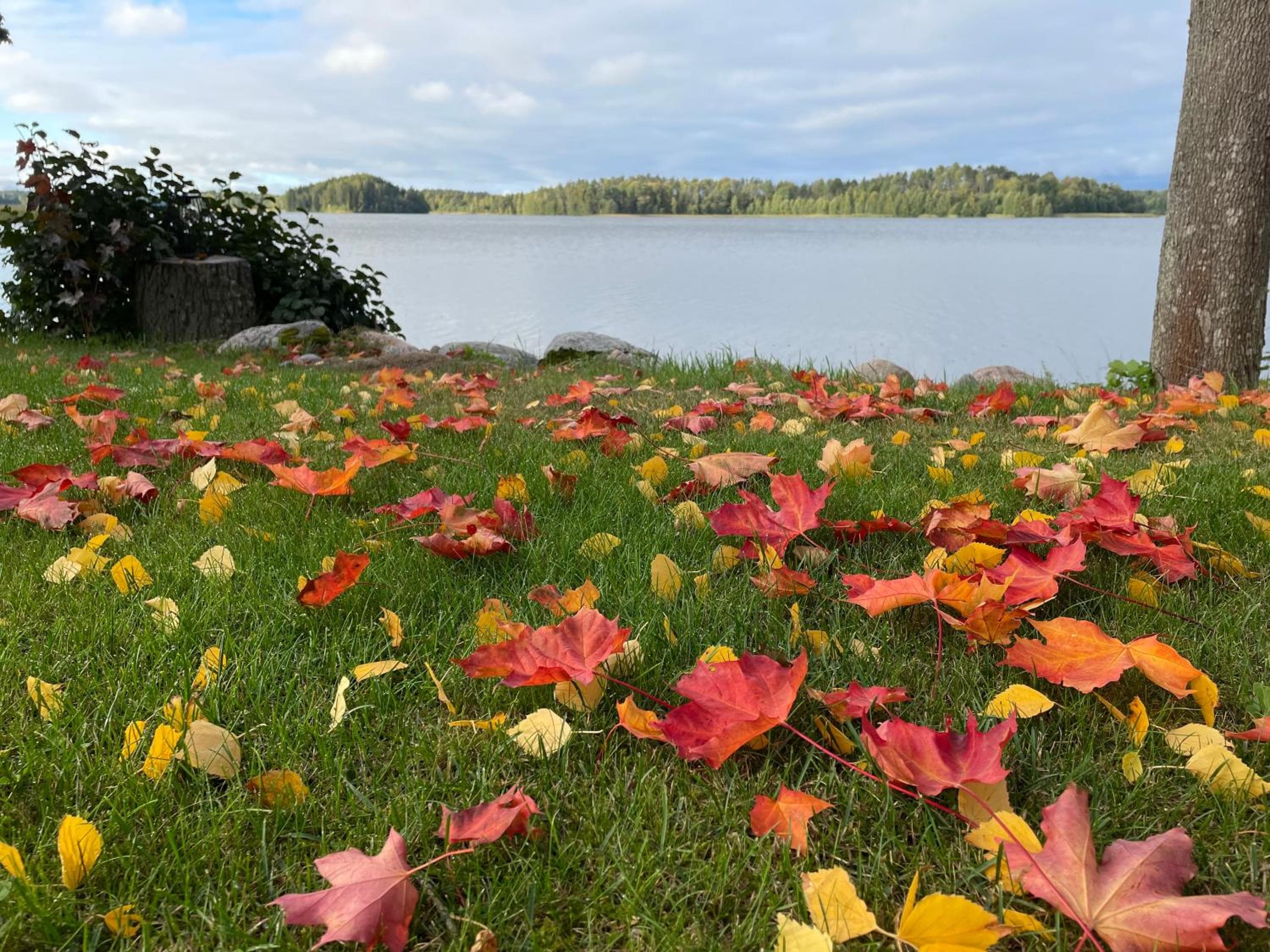 Labbnäs Semesterhem, Radhuset, Kemionsaari, photo 3