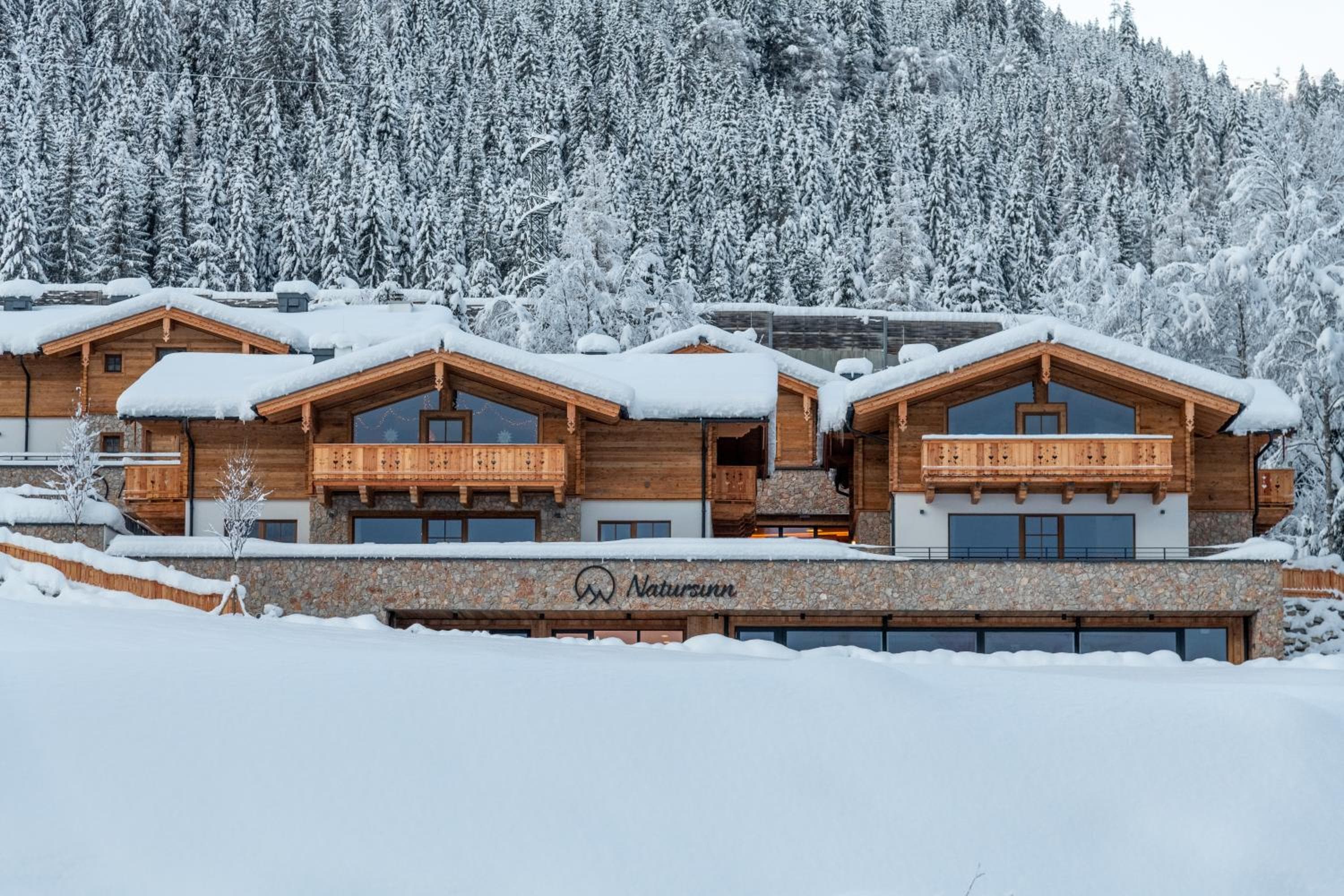 Natursinn Mountainchalets, Flachau, photo 3