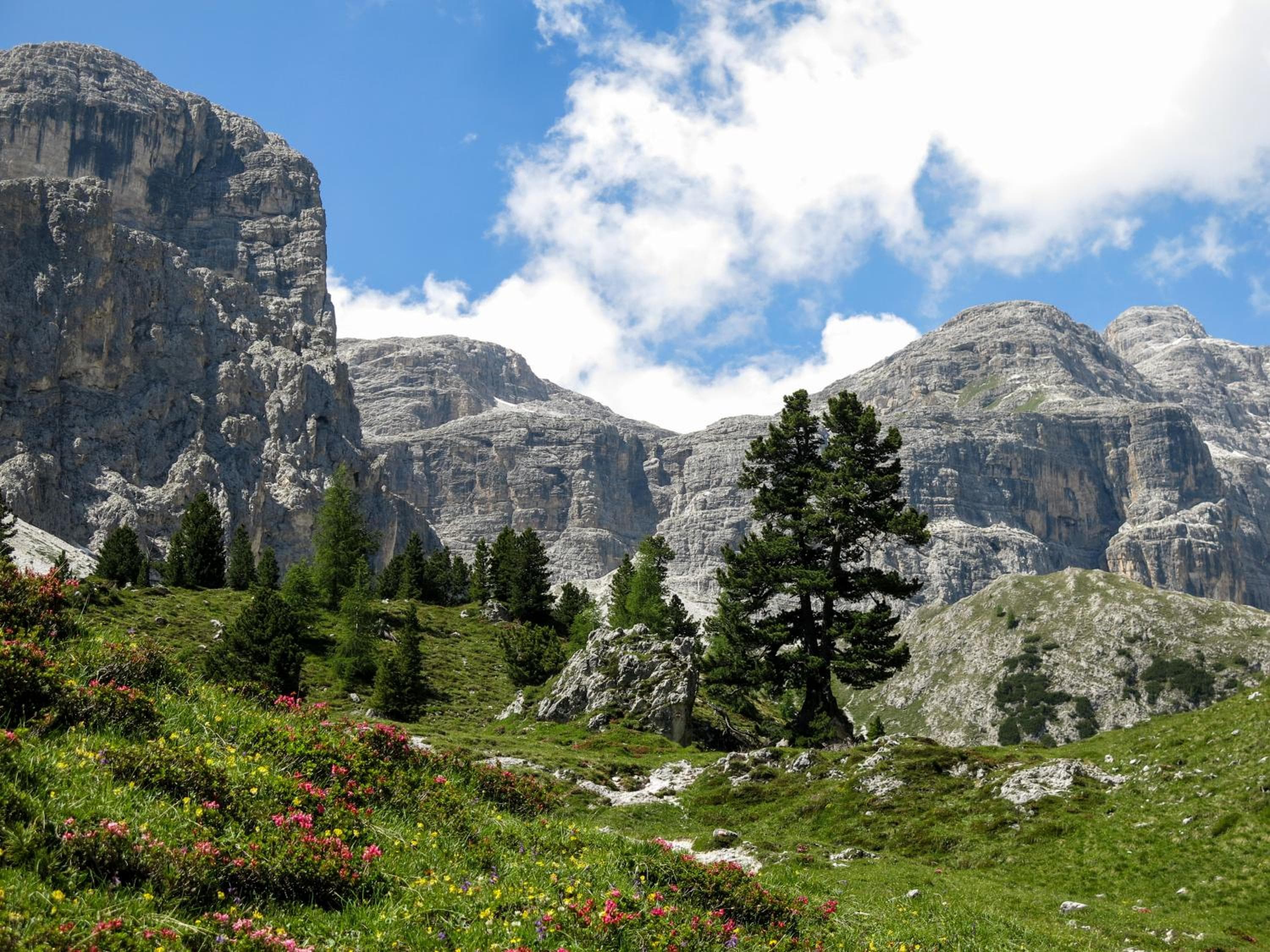 Alpine Mountain Chalet, San Vigilio Di Marebbe, photo 3