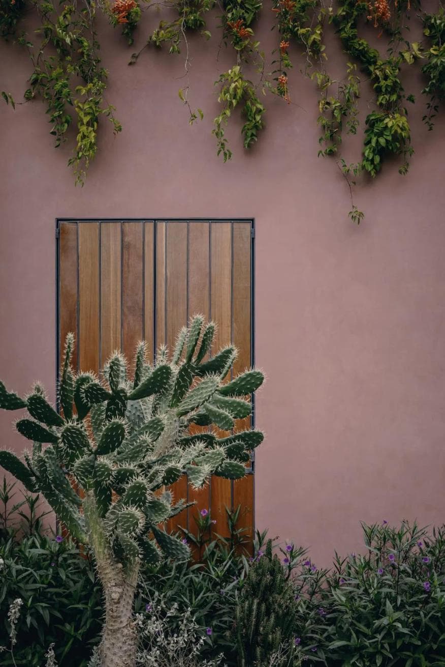 Quinta Amores alojamiento, San Miguel de Allende, photo 3