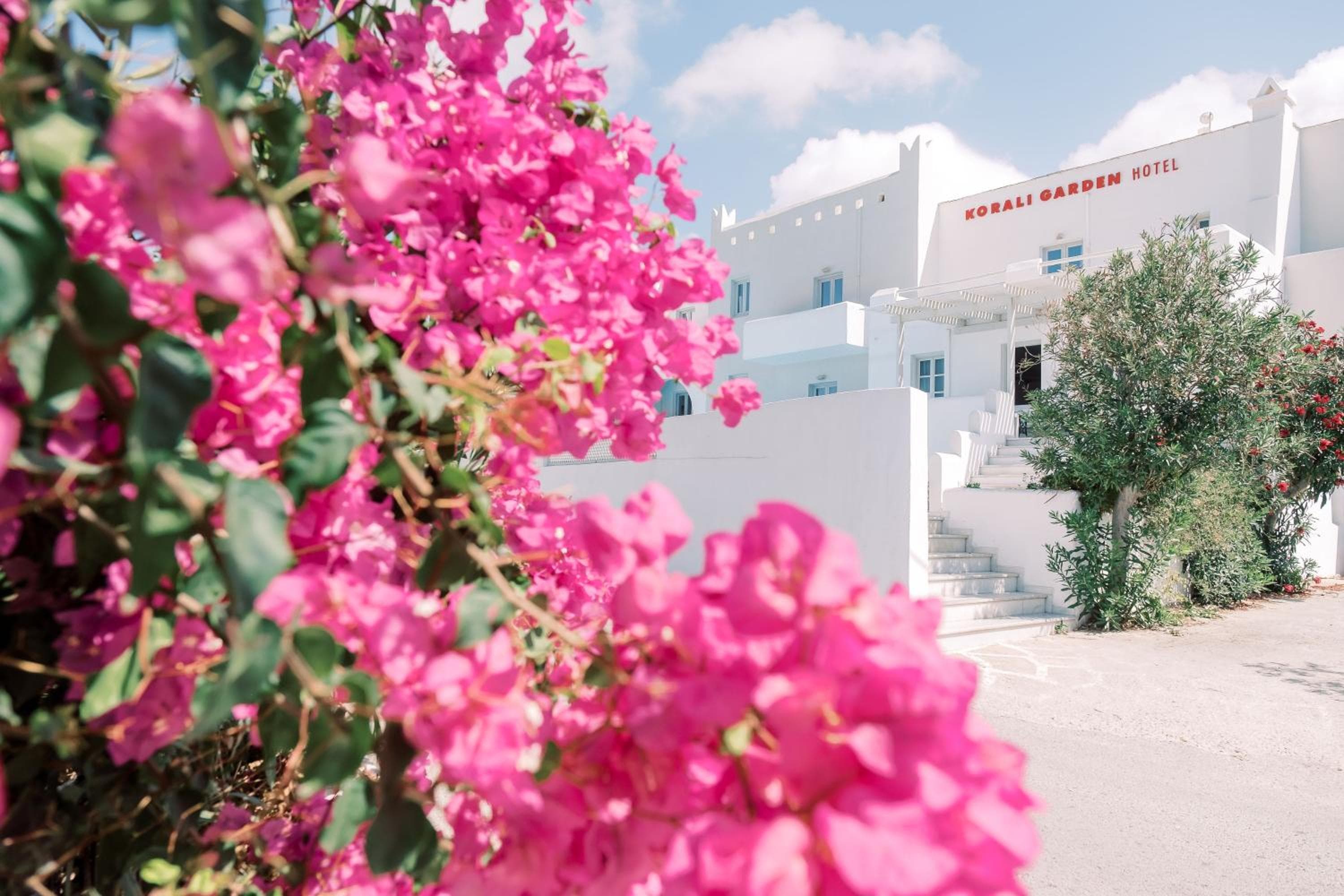 Korali Garden, Naxos Chora