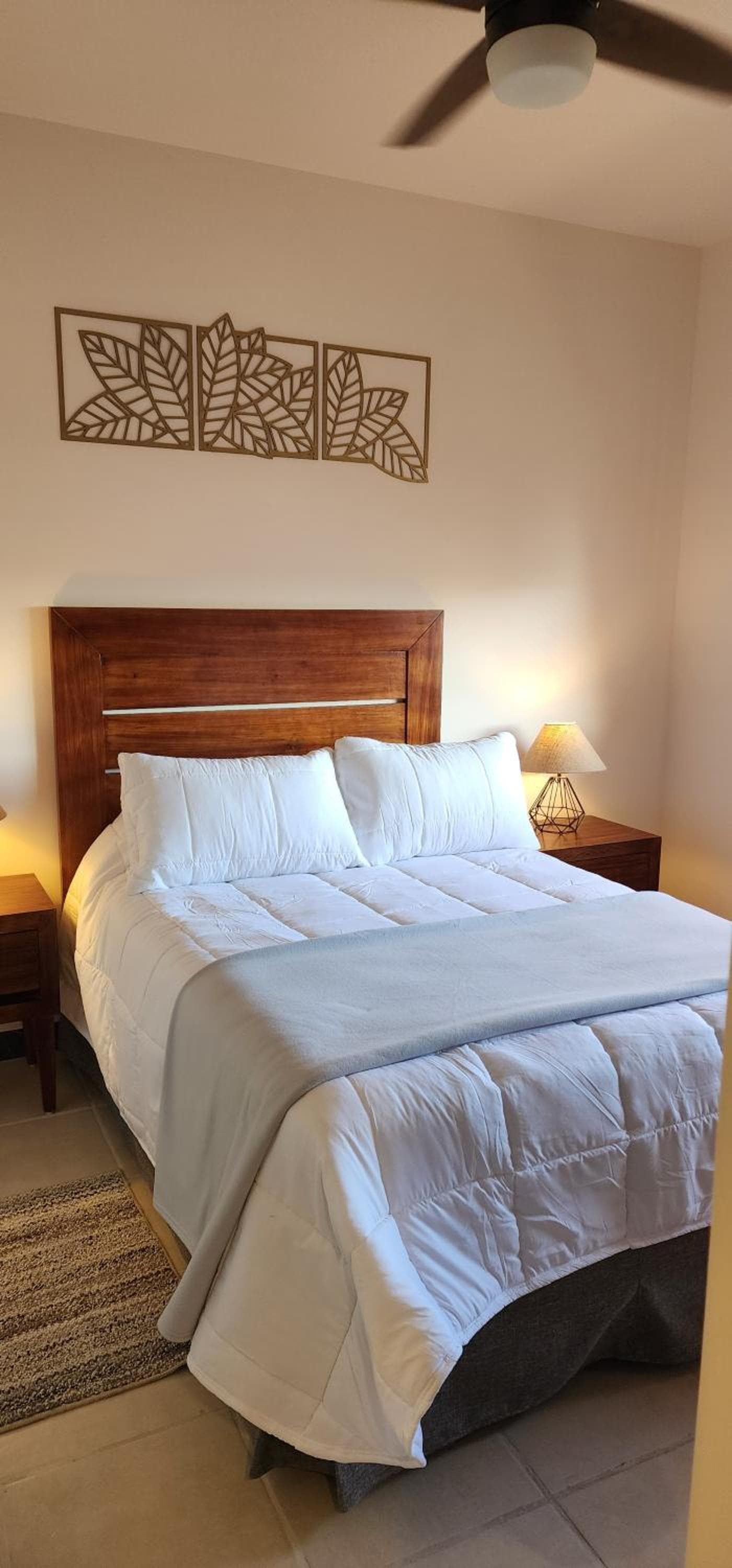 SUITES LOMBOY & PLAZA, San José del Cabo, photo 5