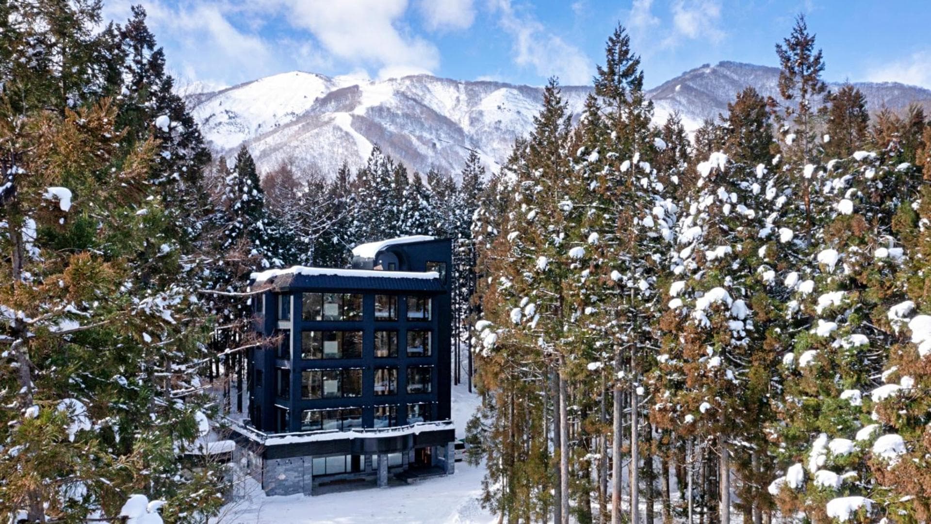 Hakuba Platinum, Hakuba