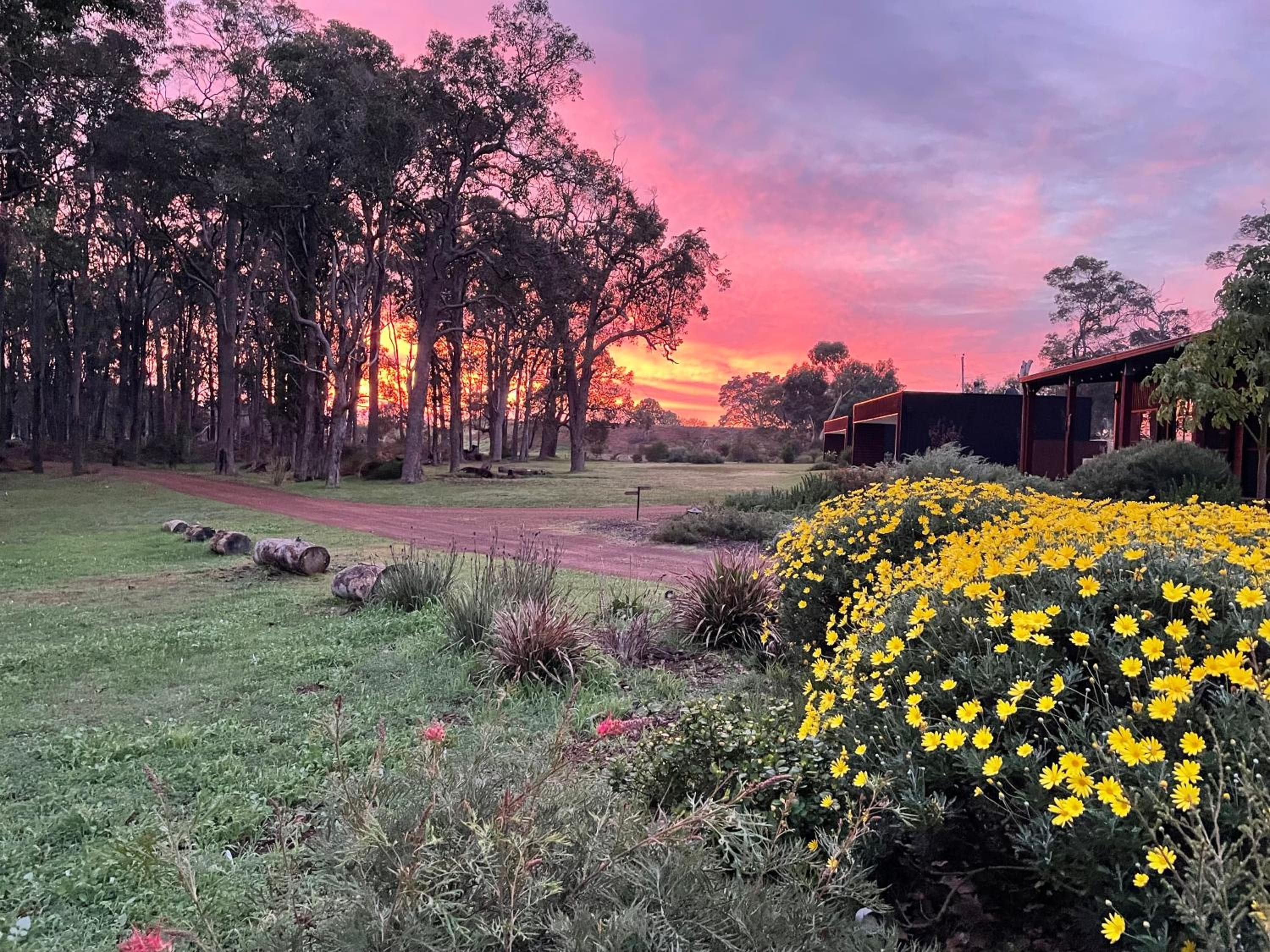 Simala Retreat, Cowaramup, photo 3