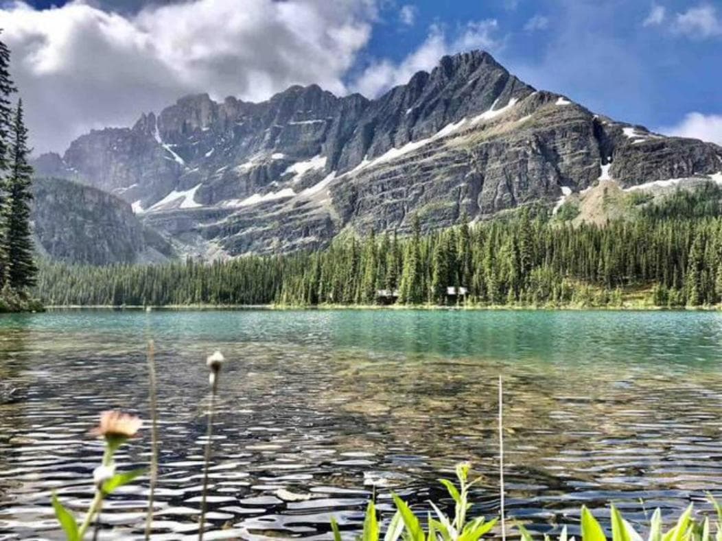 Falcon Crest Lodge 1 BR Condo With Gym & Hot-Tubs & Mountain View, Canmore, photo 6