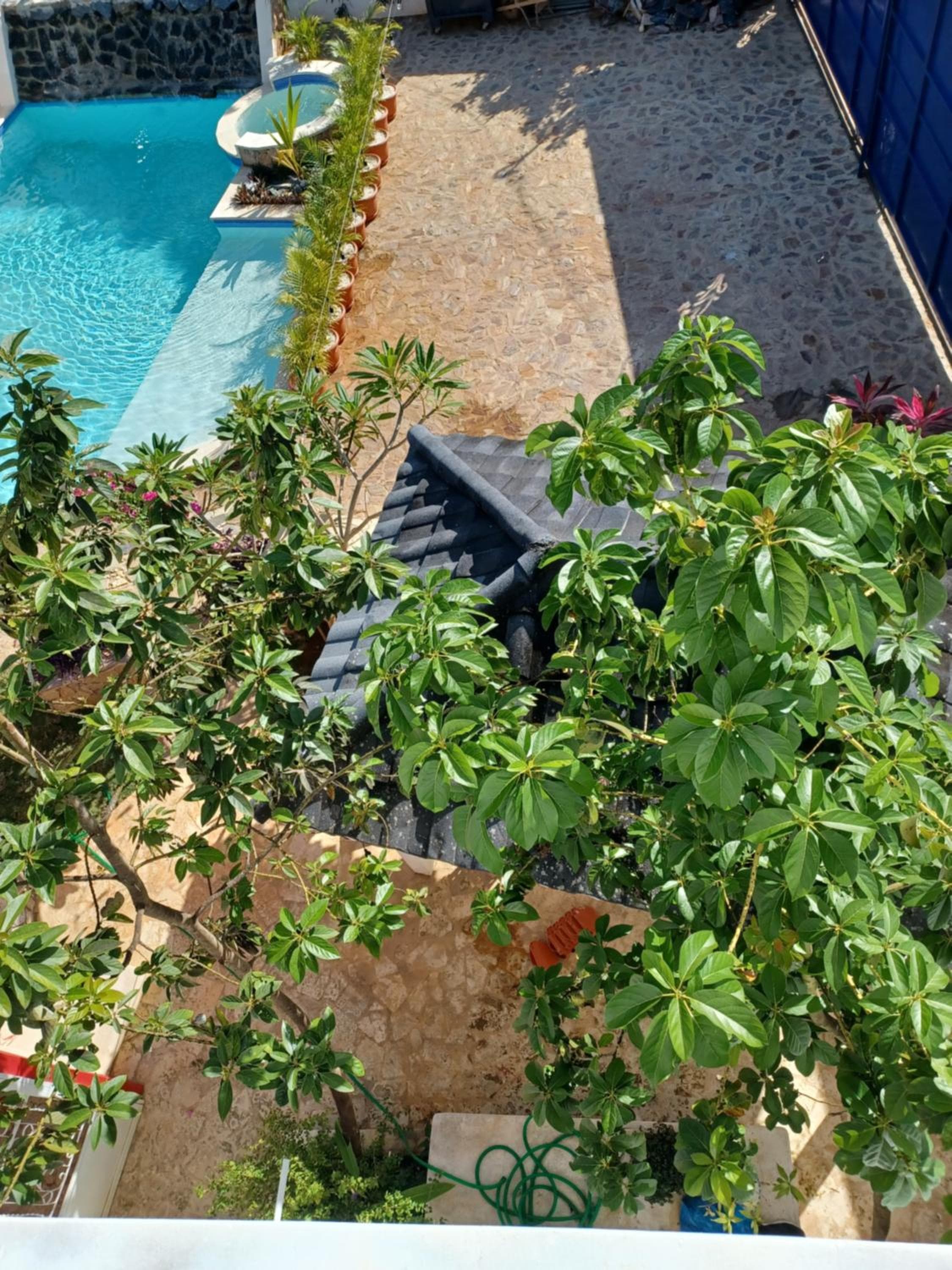 Doña Mayra Aparta Hotel, Las Terrenas, photo 5