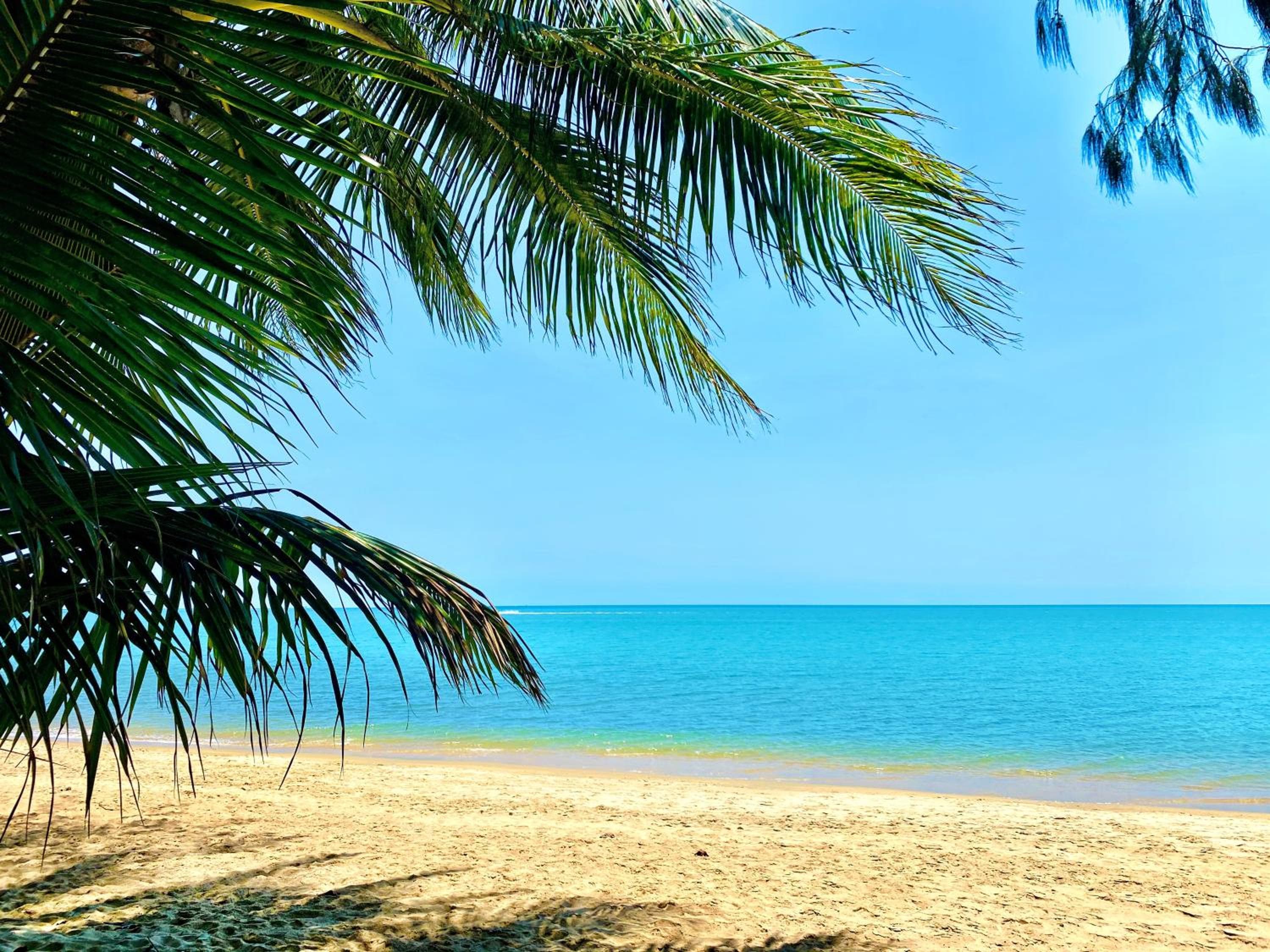 BeachView Apartments at Villa Paradiso, Palm Cove, photo 2