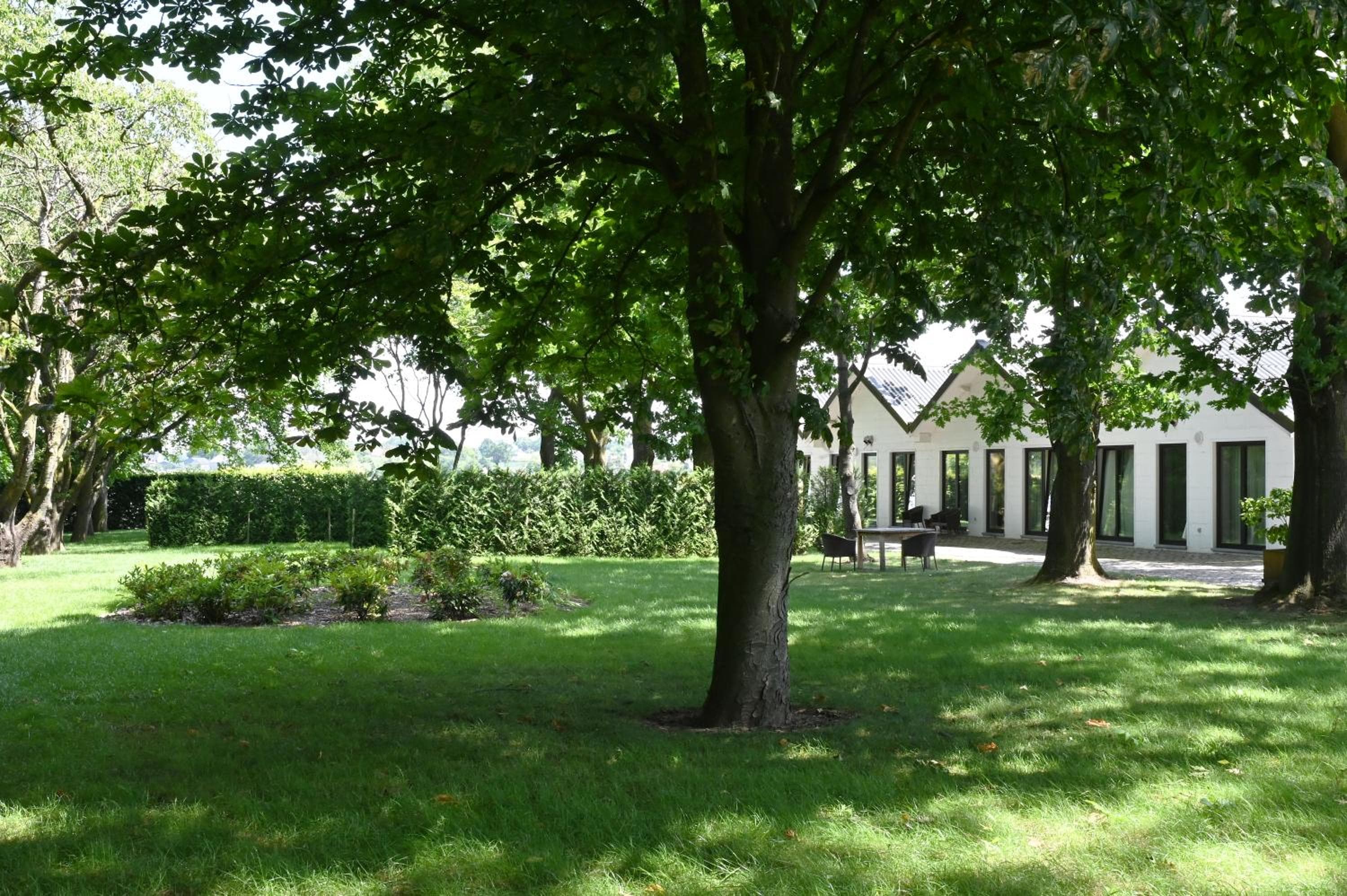 Landlord bij Leuven, Holsbeek, photo 4