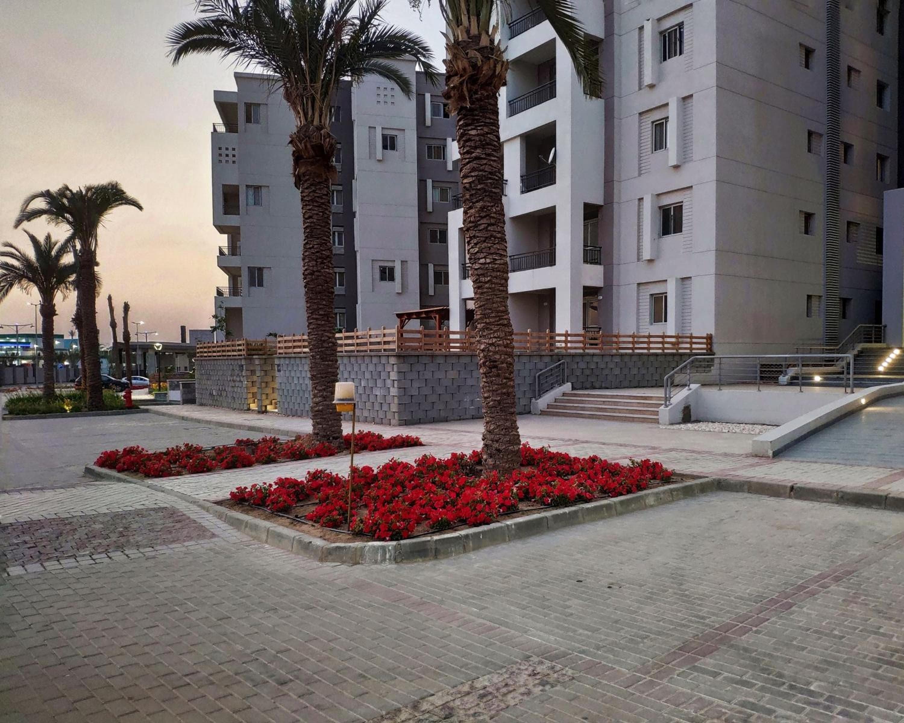 Axxodia- Apartments In Cairo Festival City, Cairo