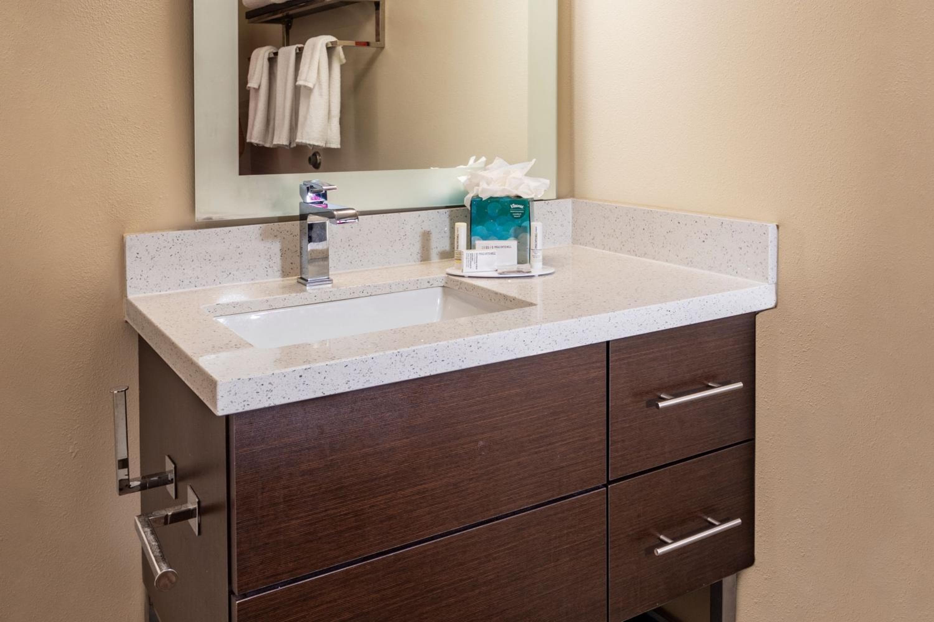 TownePlace Suites by Marriott Fort Mill at Carowinds Blvd, Fort Mill, photo 5