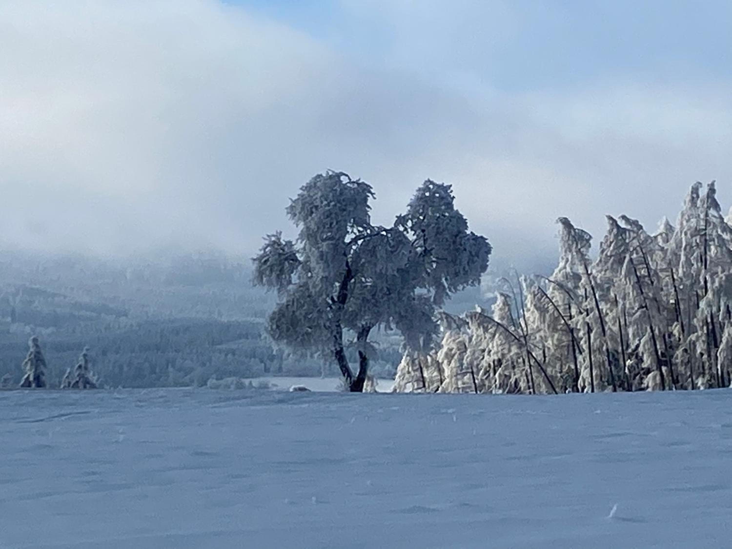 Hillside Strašín Šumava, Strašín, photo 5
