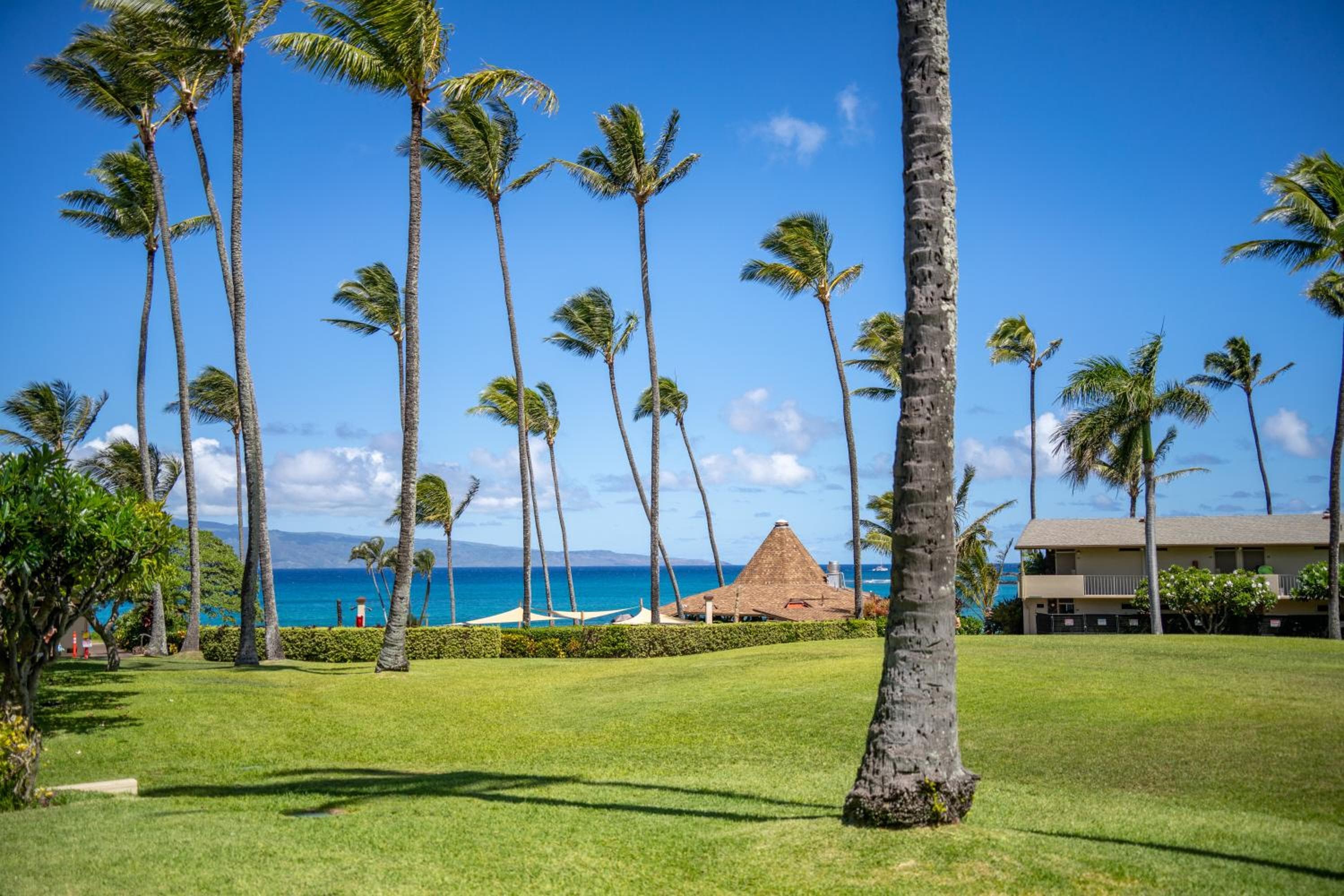Napili Shores Maui by OUTRIGGER - No Resort & Housekeeping Fees, Honokowai, photo 4