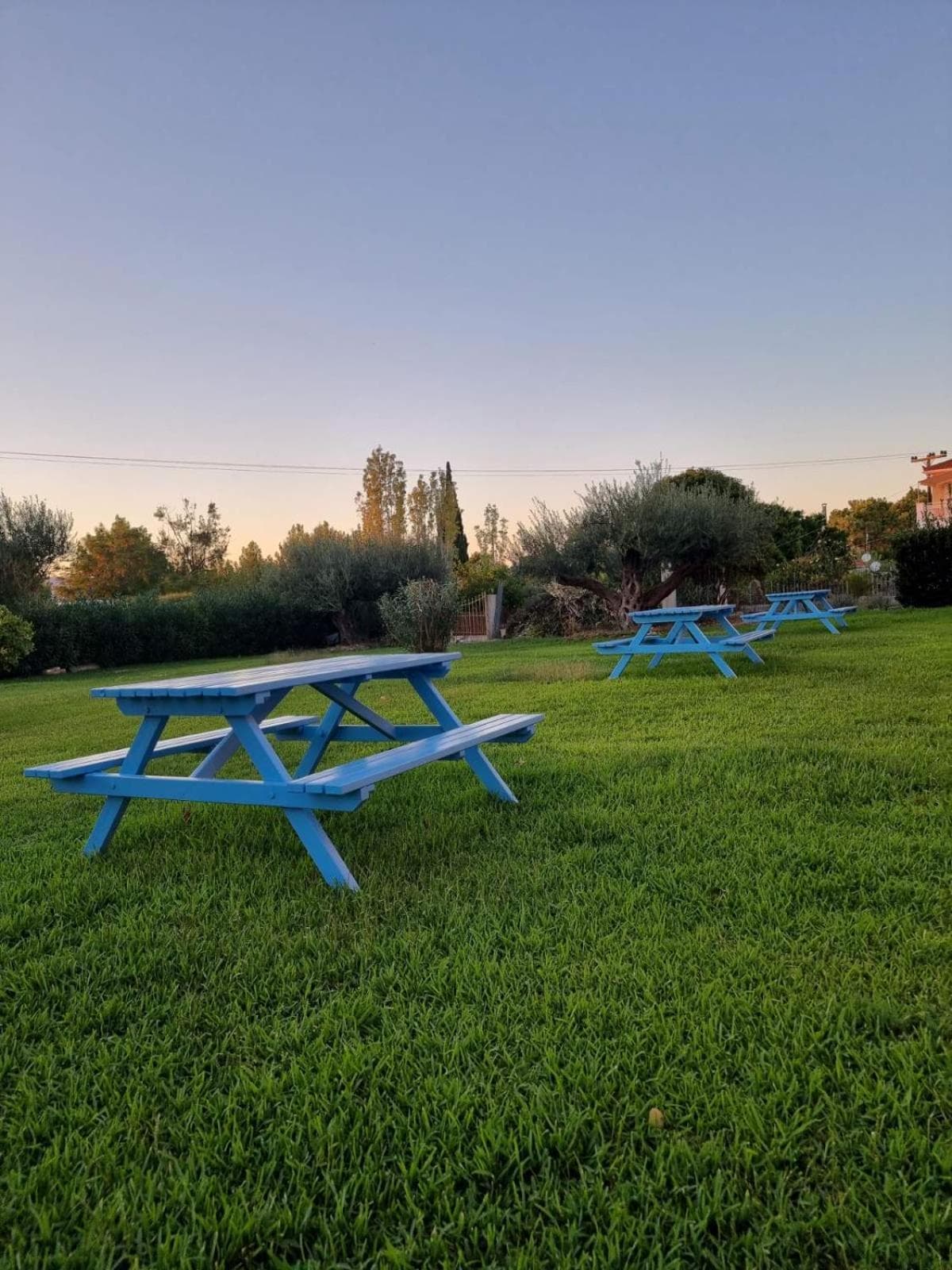 Julietta Suites, Argostoli, photo 4