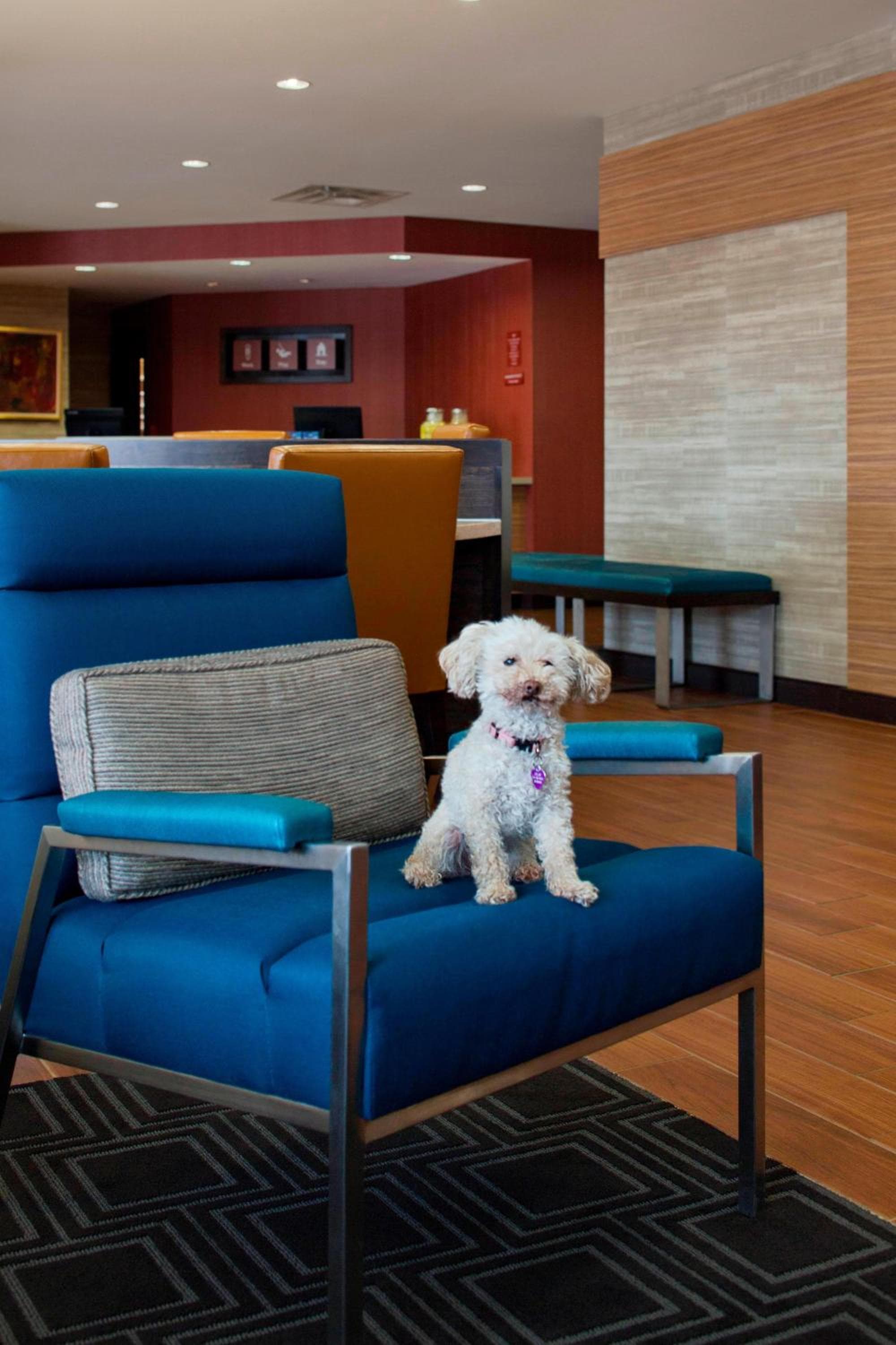 TownePlace Suites by Marriott Austin Round Rock, Austin, photo 6