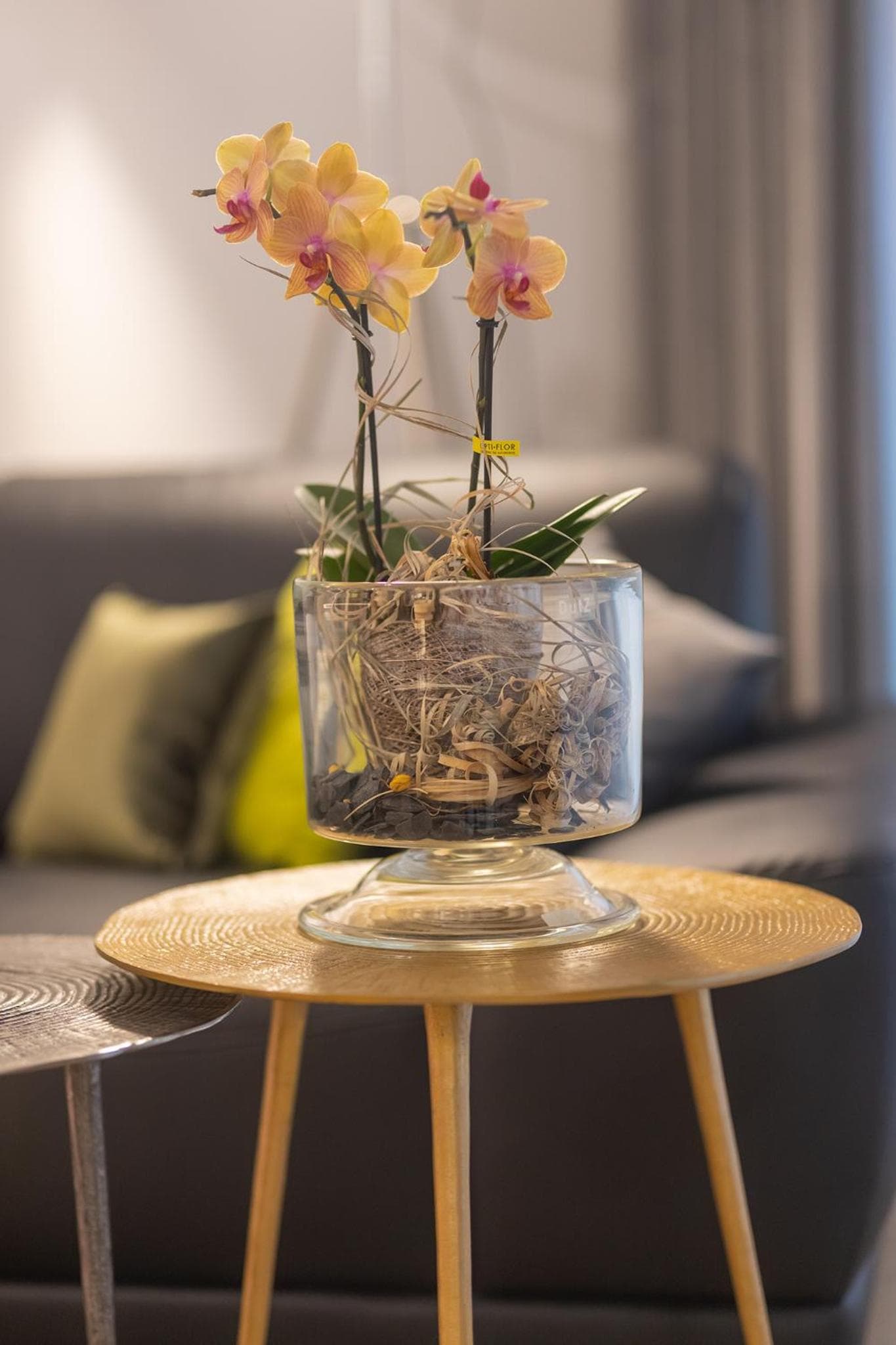 Boardinghouse HOME - adults only -, Konstanz, photo 5