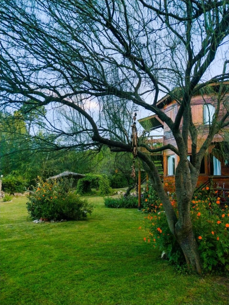 Del Sol a la Montaña EcoLodge - Turismo Consciente, Potrero de Garay, photo 6