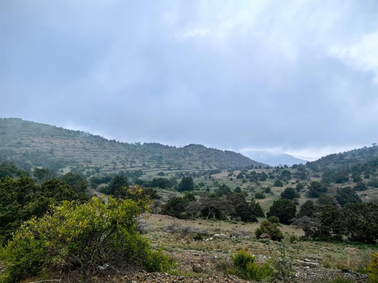 Patto S Apa, Al Baha, photo 3