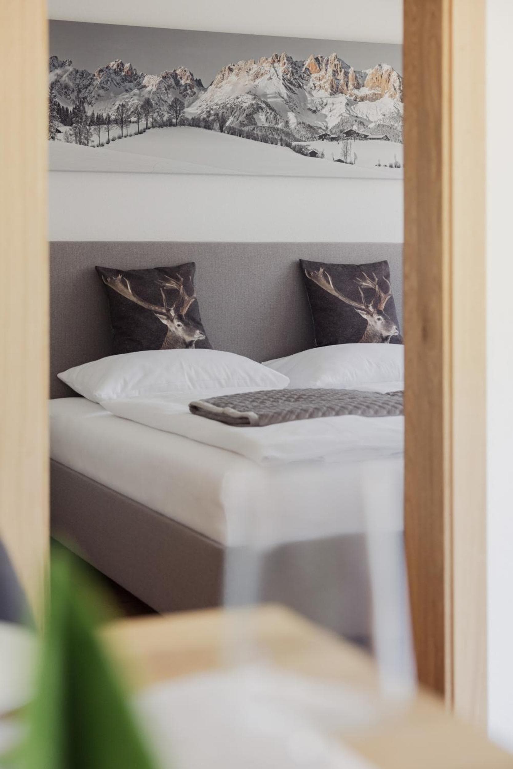 Apartment Streif LXL, Kirchdorf in Tirol, photo 6
