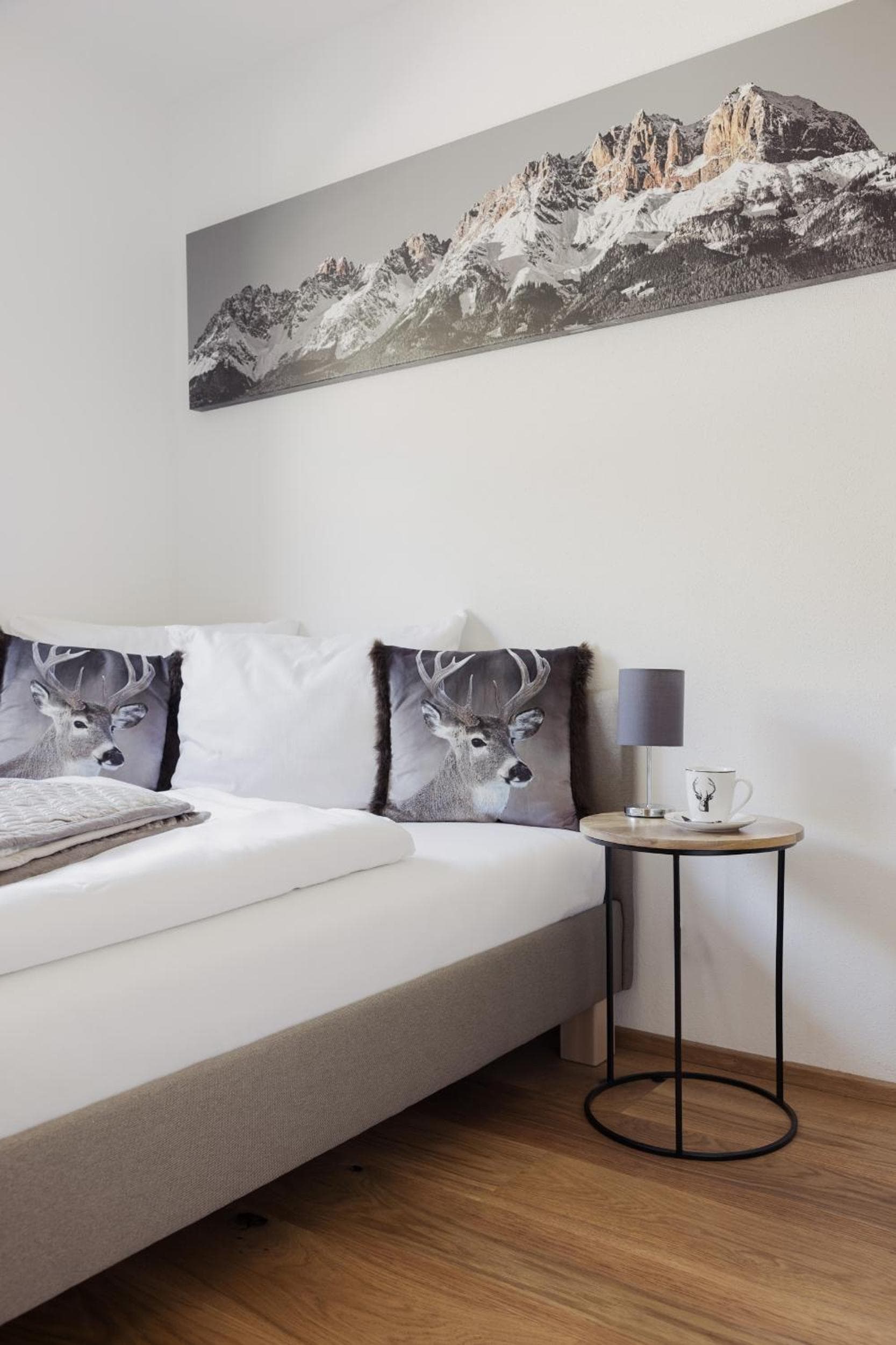 Apartment Streif LXL, Kirchdorf in Tirol, photo 3