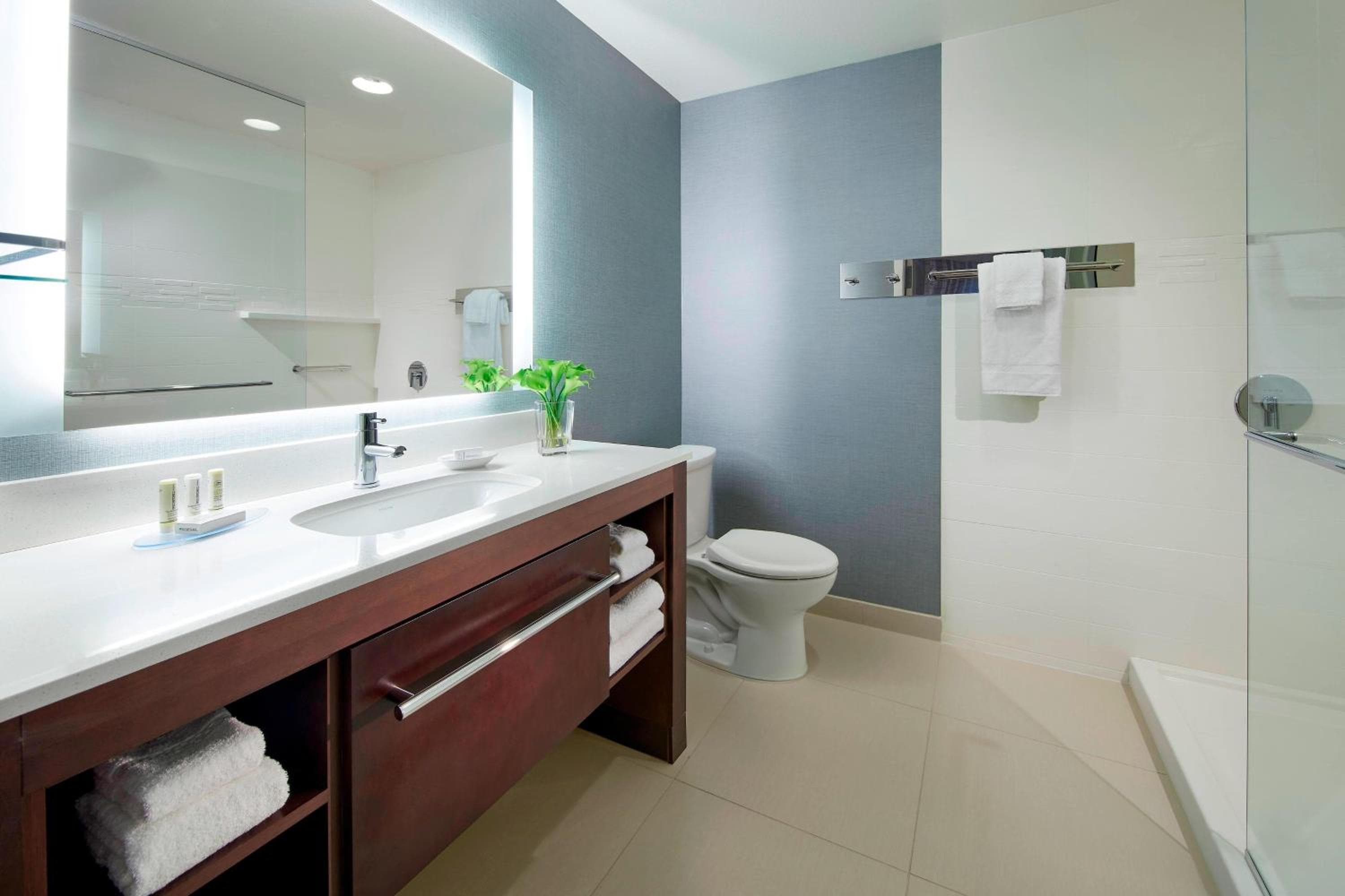 Residence Inn by Marriott San Diego Chula Vista, Chula Vista, photo 3