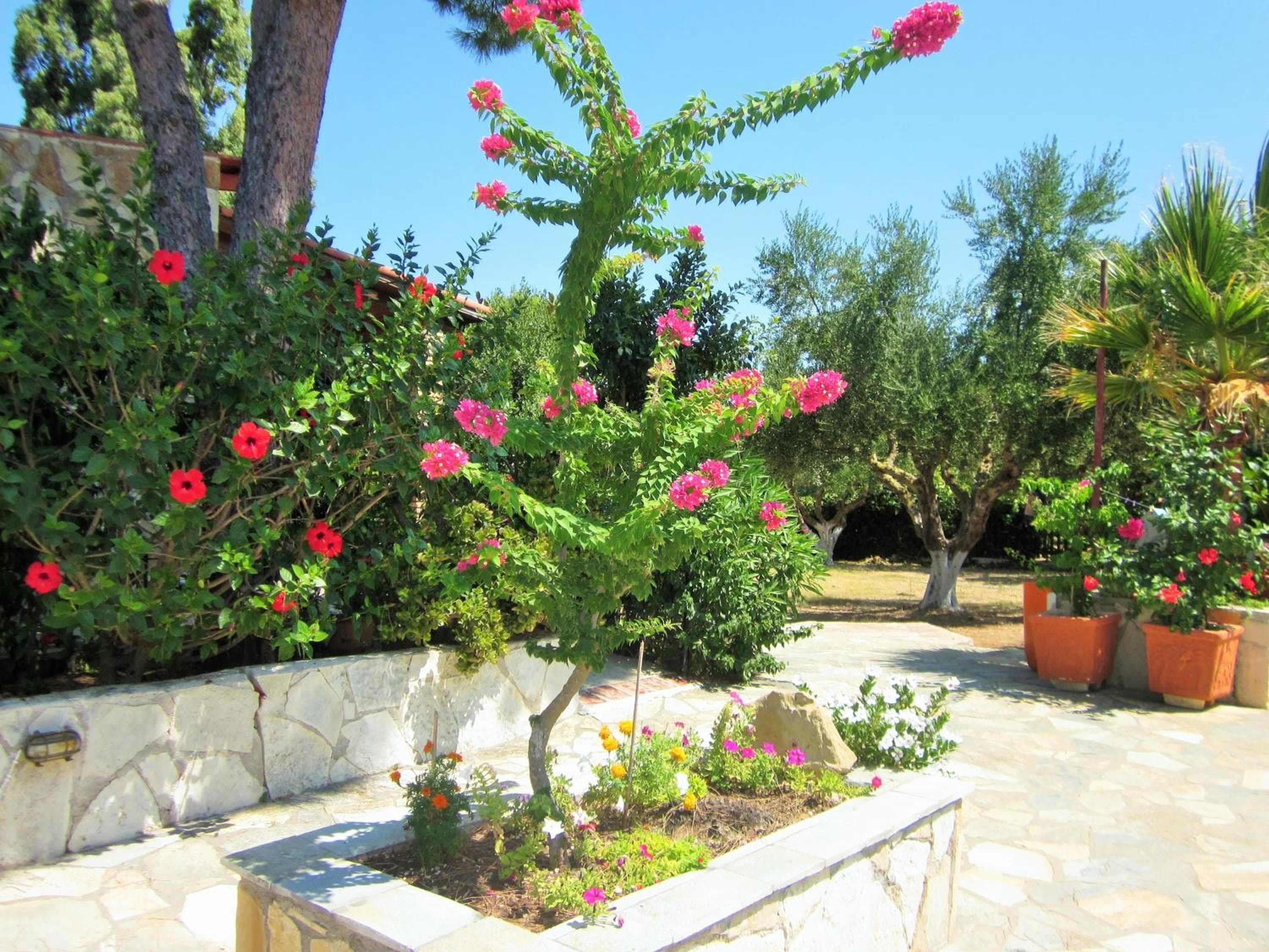 Artemis Vassilikos, Vasilikos, photo 2