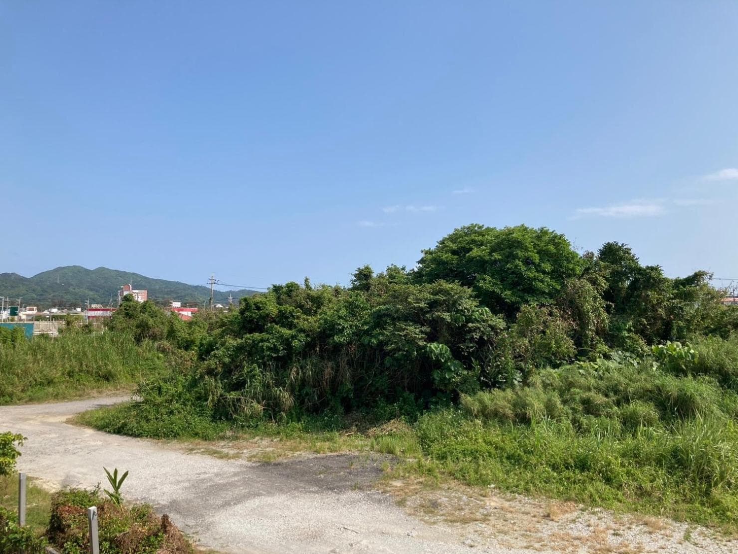 New Normal Hotel in NAGO, Nago, photo 6