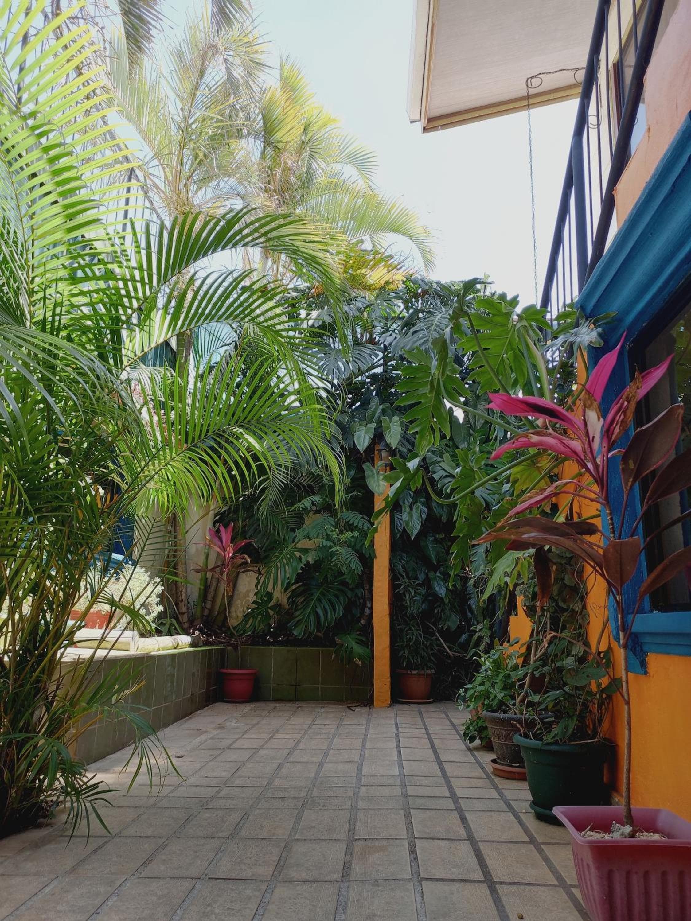 Nirvana Apartament Hostal, Alajuela City, photo 5