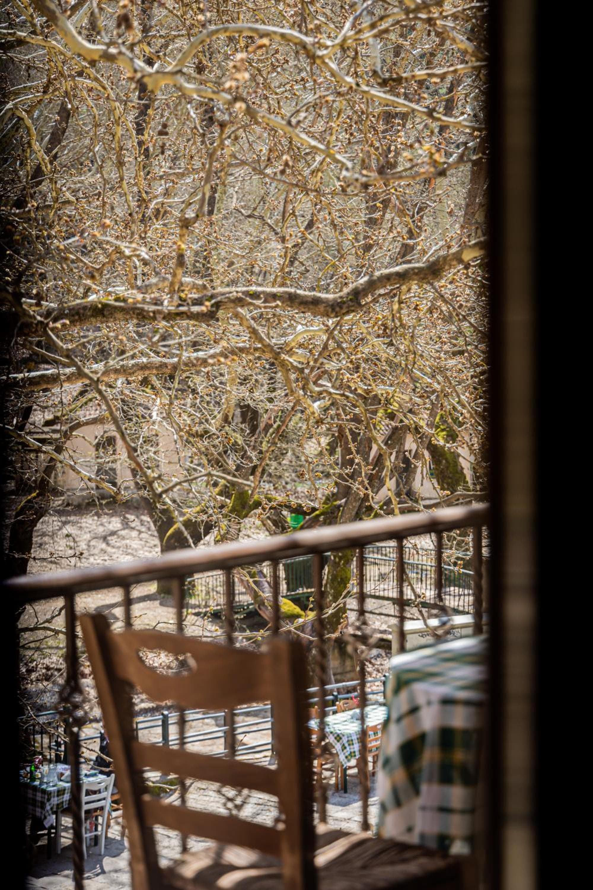 Mountain Hotels "Aroanides", Planitéron, photo 2