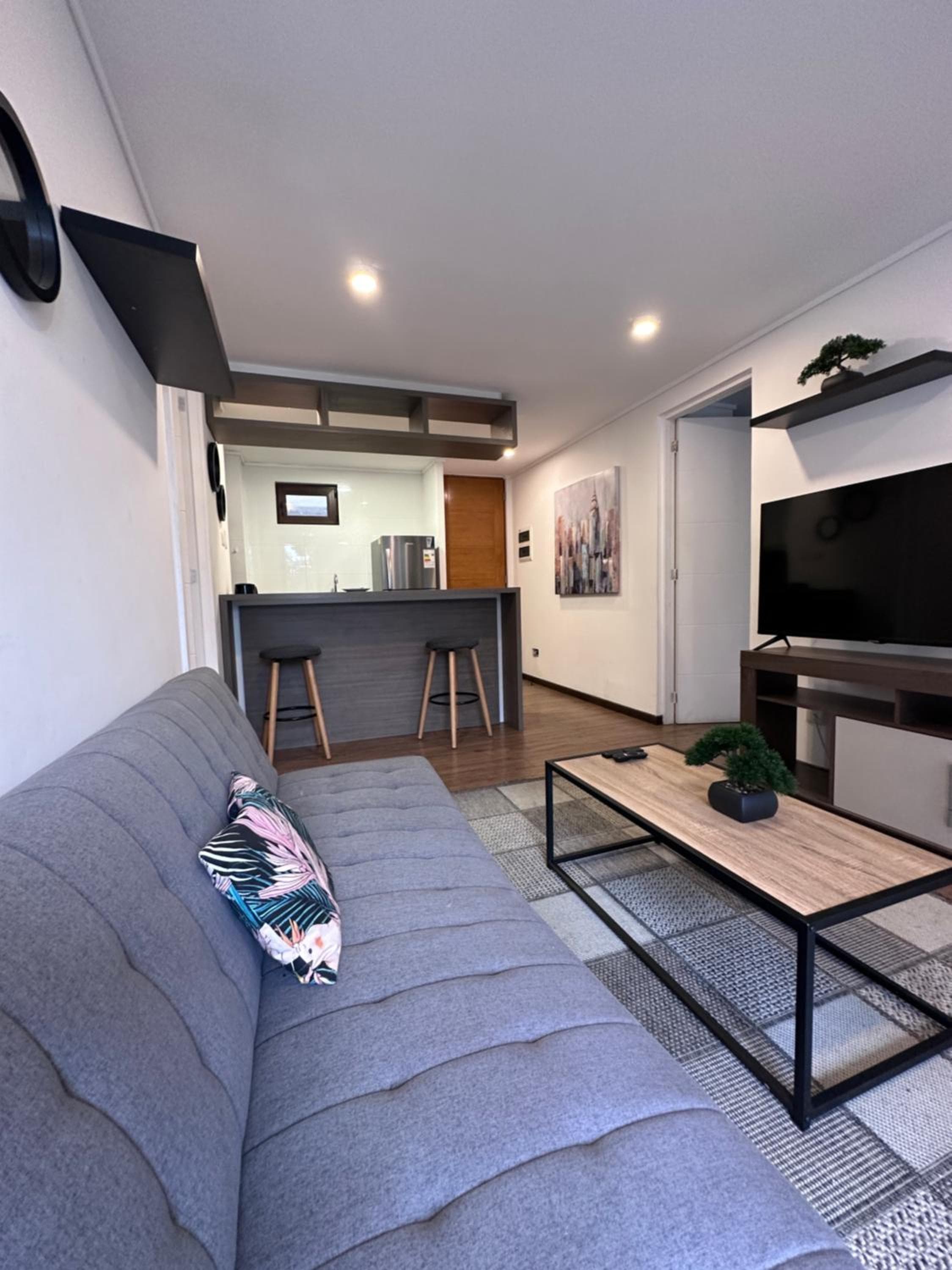 Apart Hotel Castellon 176, Concepción, photo 5