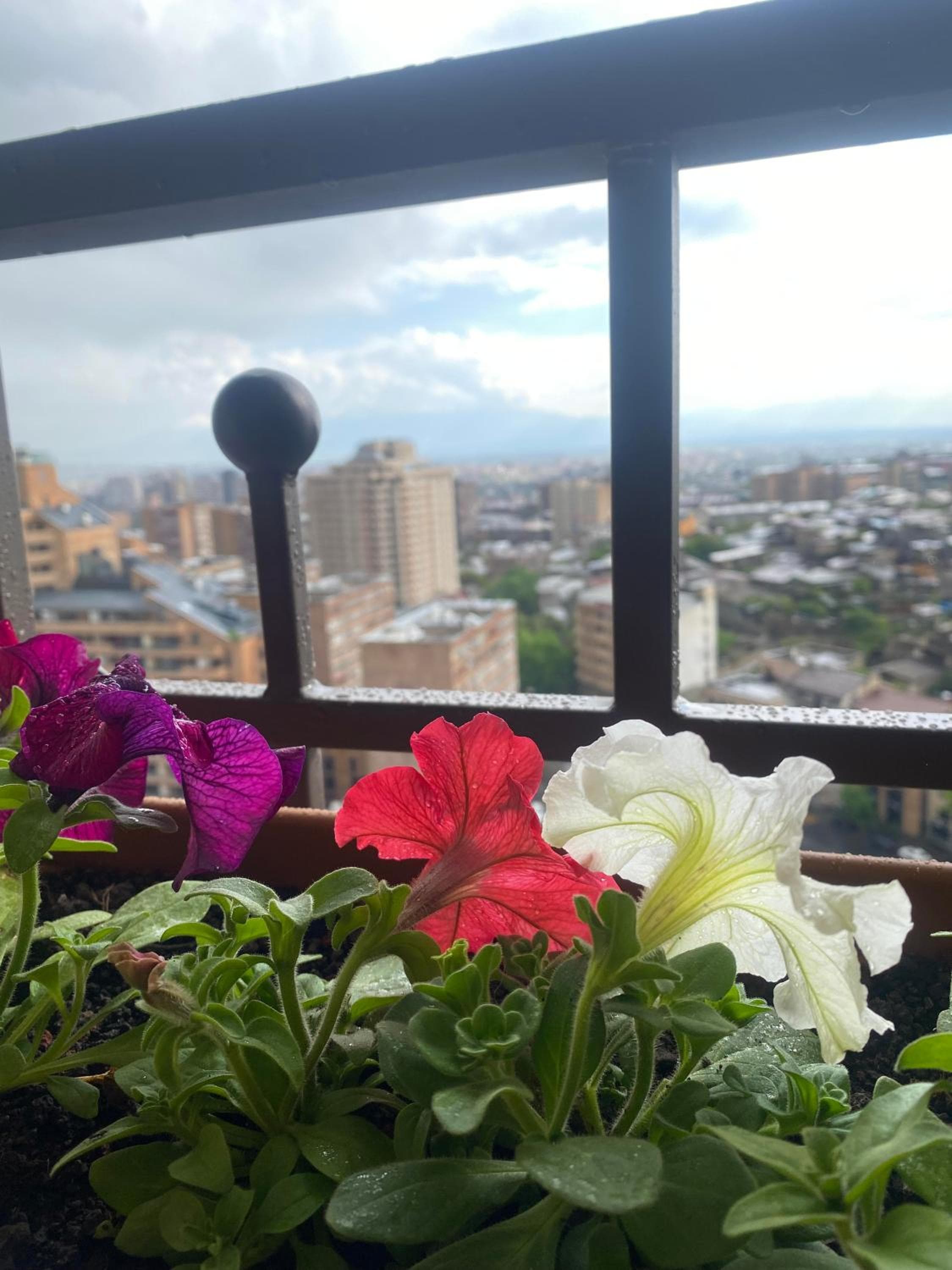 Rooftop Apart-Hotel, Yerevan, photo 3