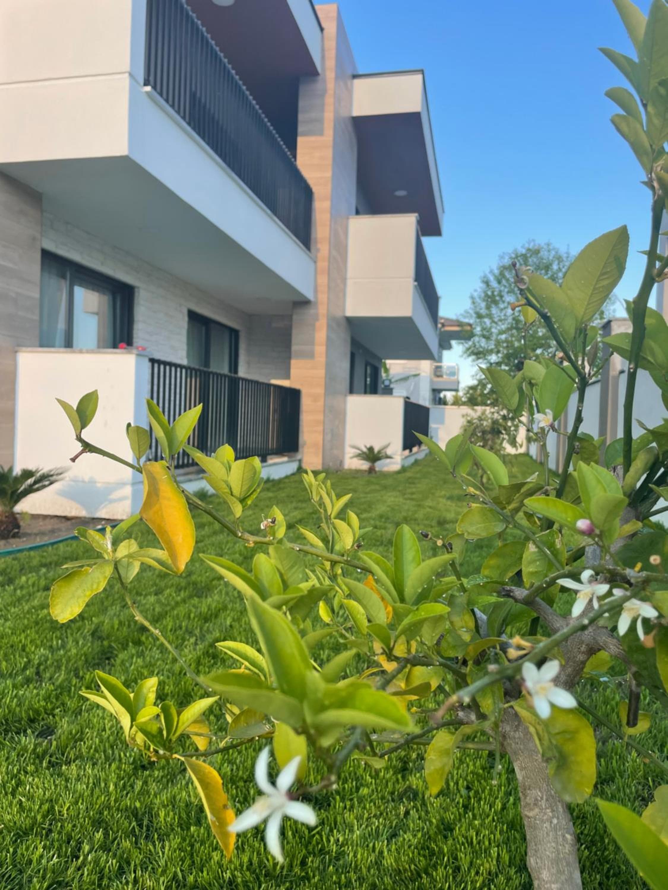 KALİDA APART, Kemer