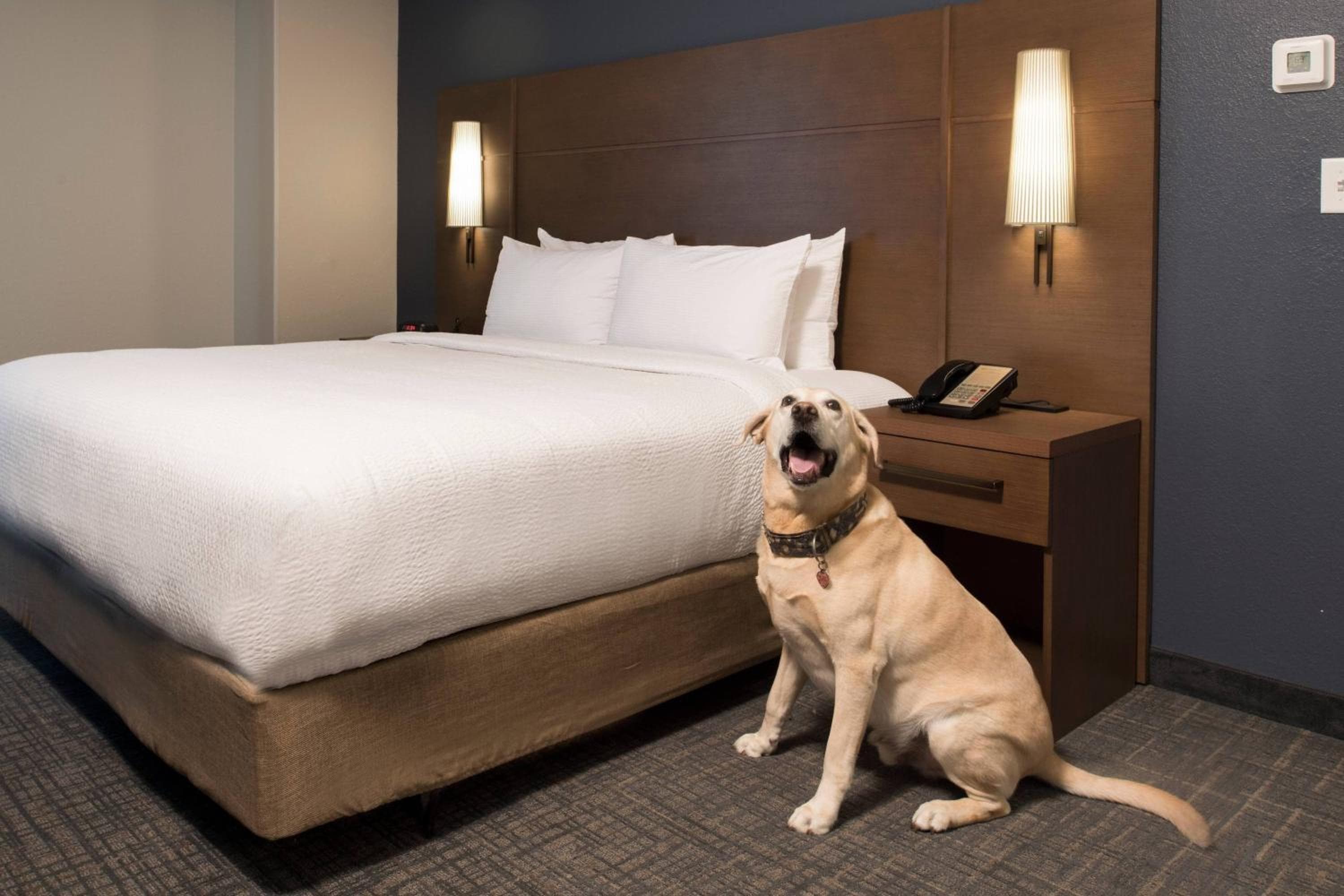 Residence Inn Memphis Downtown, Memphis, photo 6