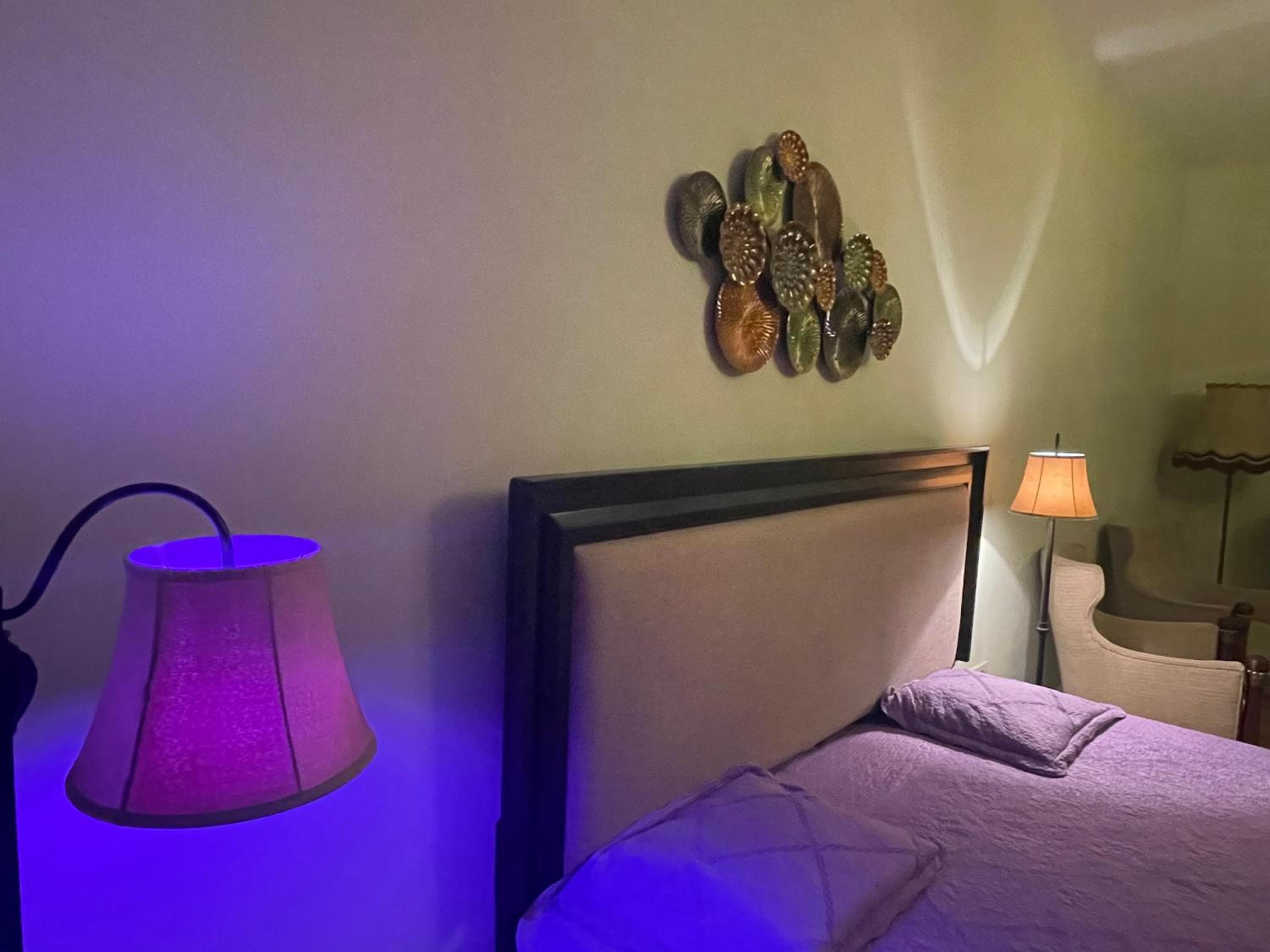 Adora Park Signature Stay Free Parking, Arad, photo 4