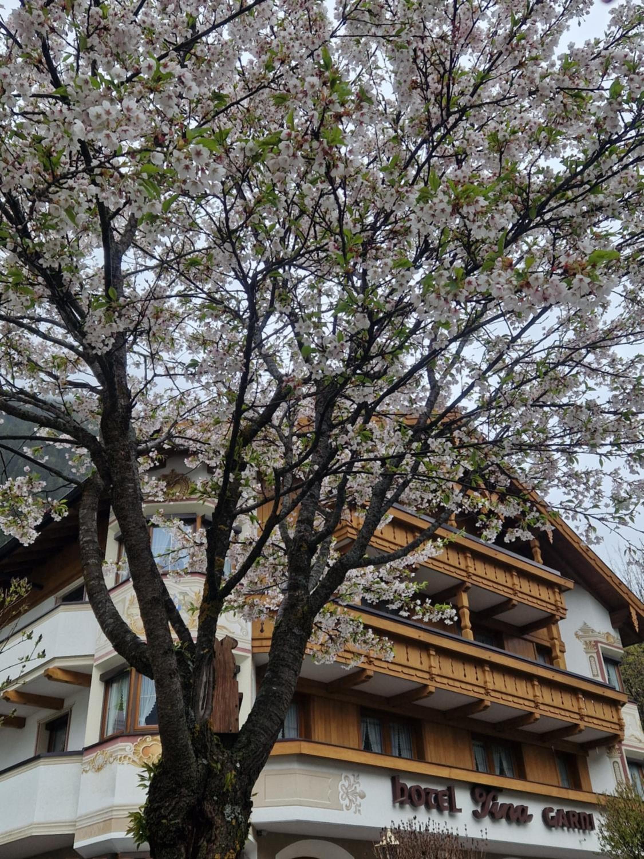 Hotel Garni Apart TINA, Ischgl, photo 4