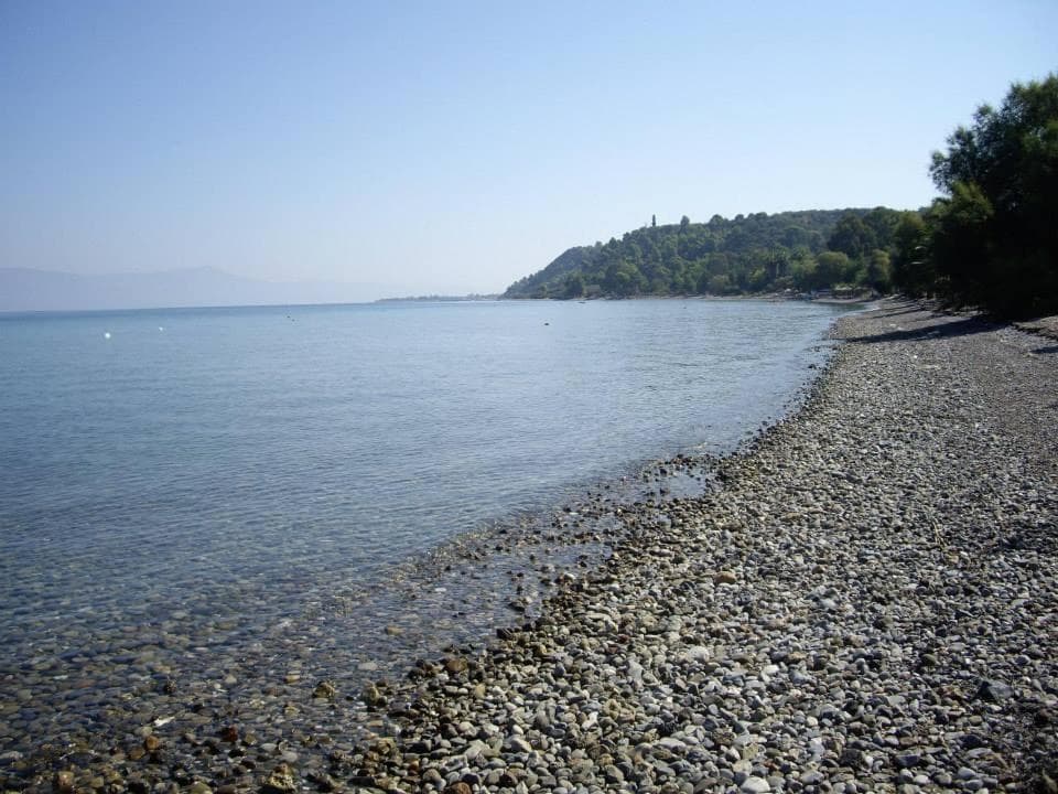POSEIDON, Arkítsa, photo 4