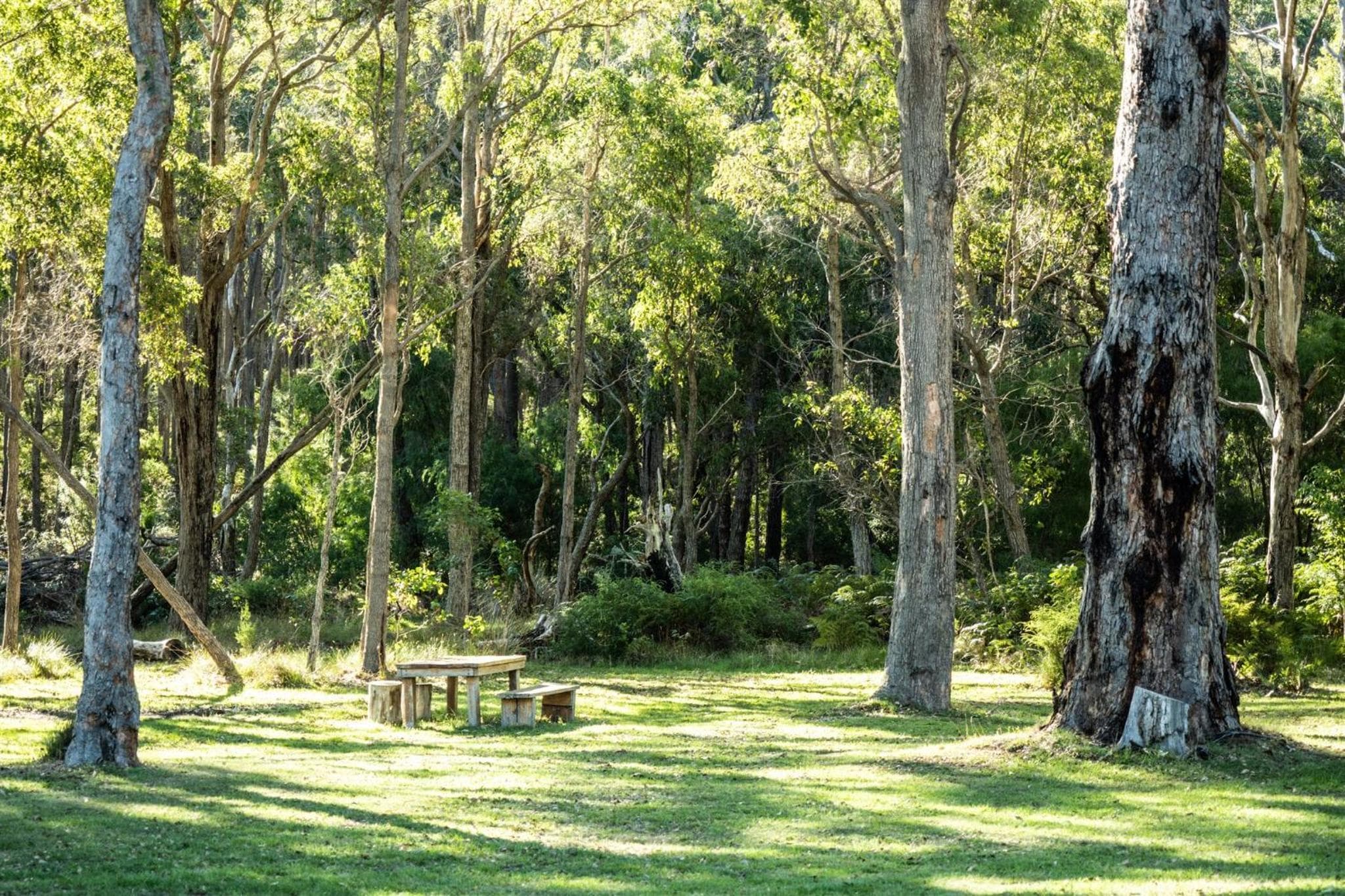 Simala Retreat, Cowaramup, photo 6