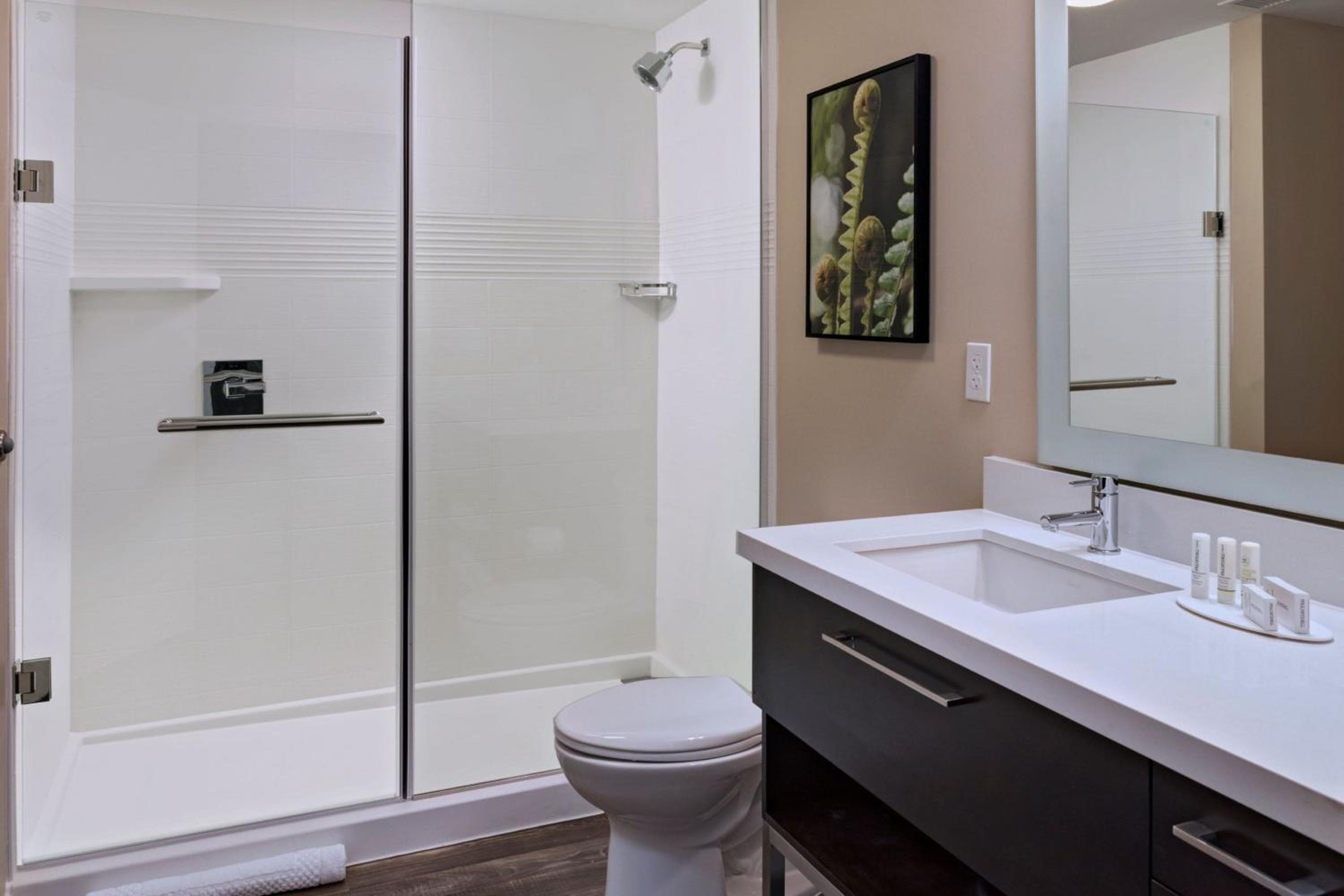 TownePlace Suites by Marriott Tacoma Lakewood, Lakewood, photo 5