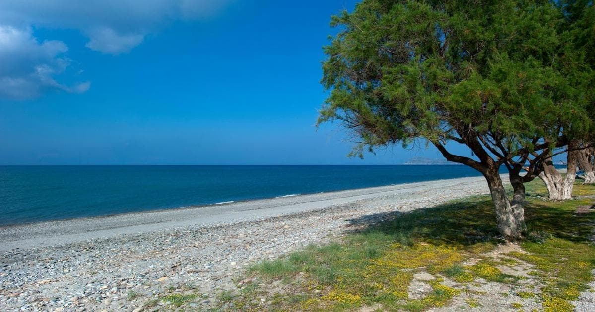 Ledra Maleme Hotel, Maleme, photo 4
