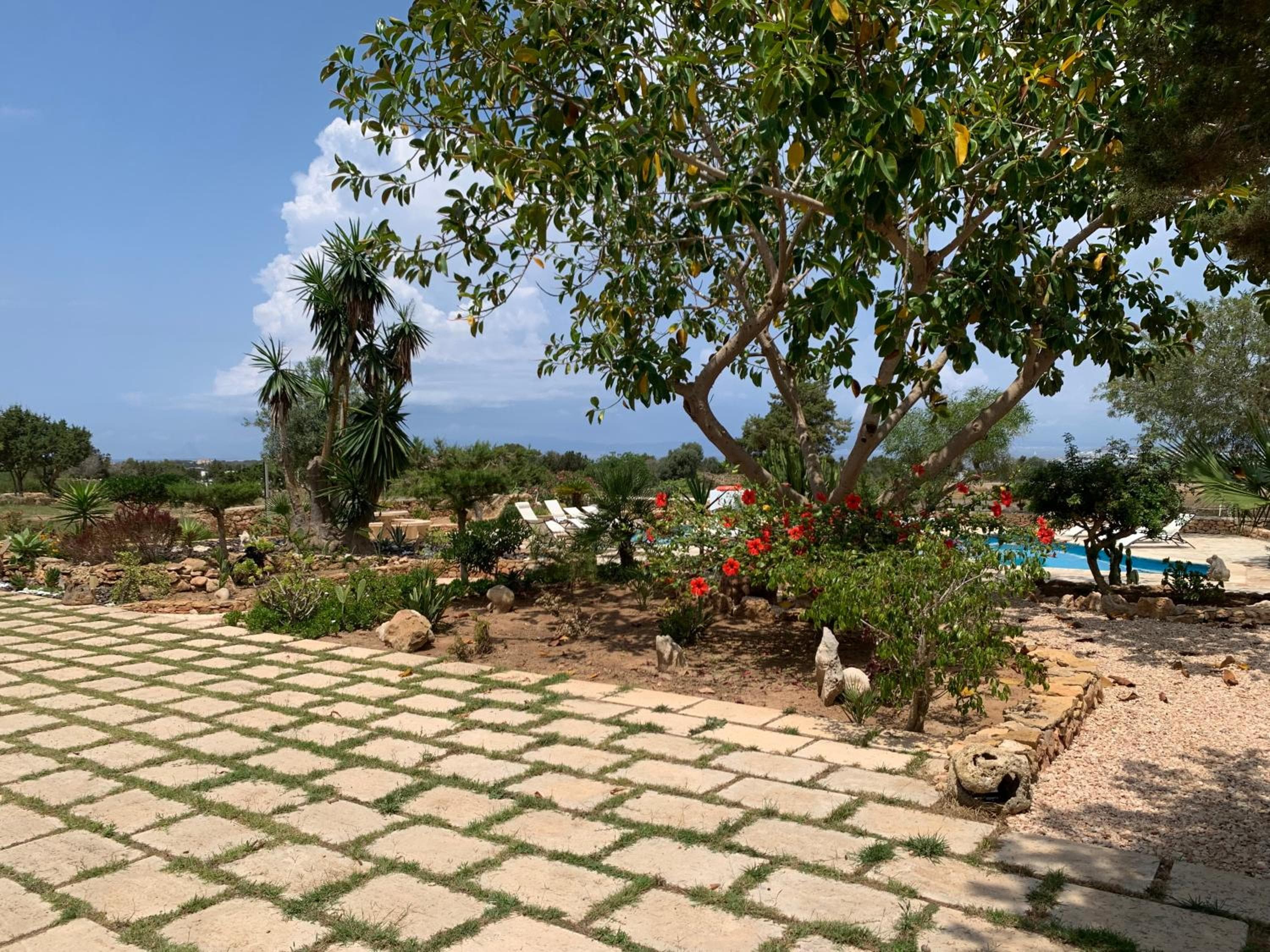 Apartamentos Vista Vedrá, La Savina, photo 5
