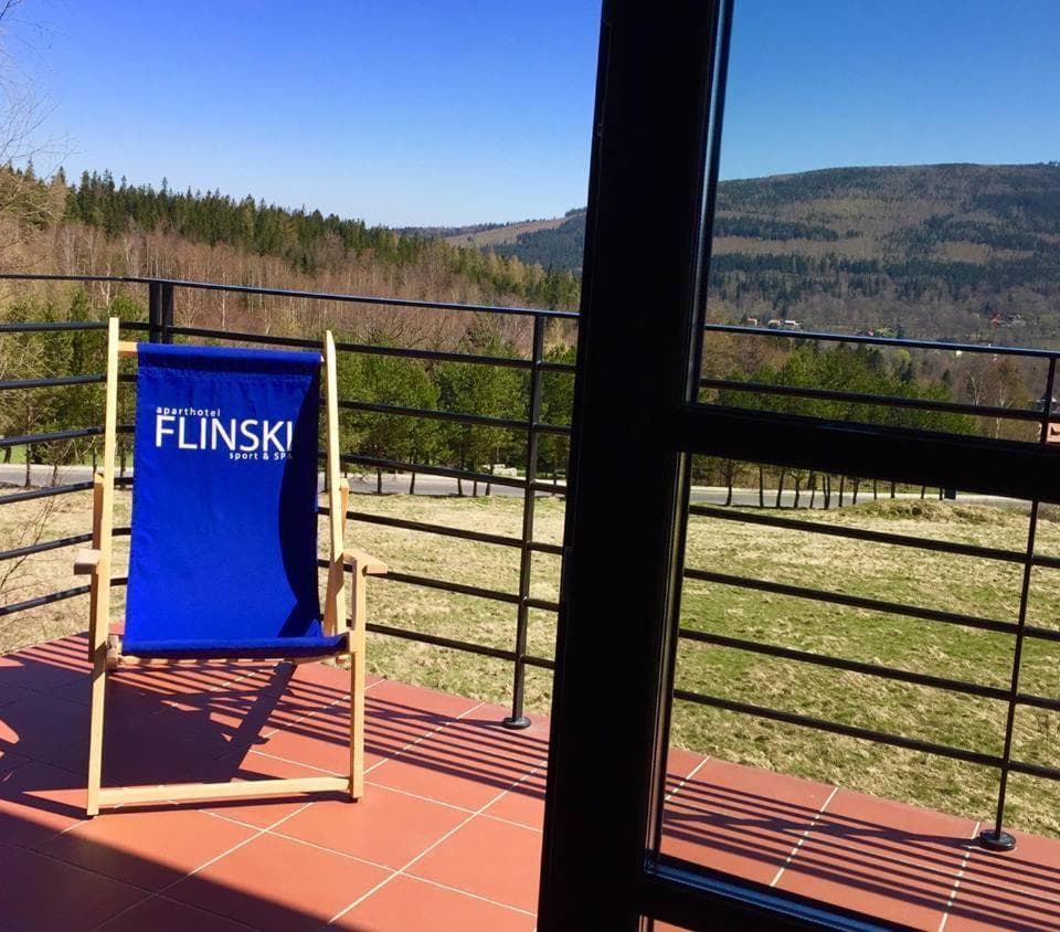 Flinski Sport X SPA, Boutique X Art, Świeradów-Zdrój, photo 2