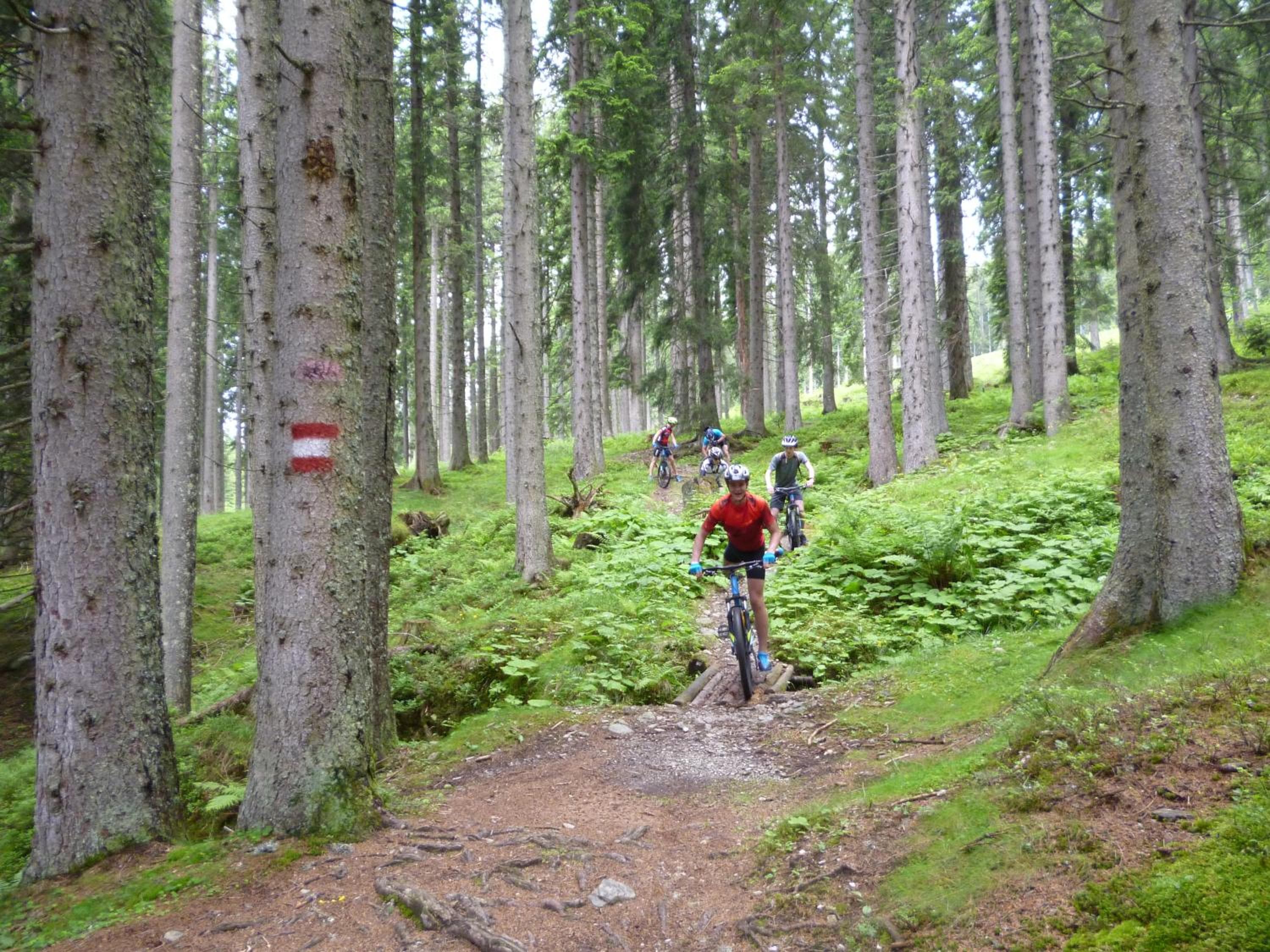 Harmls Aparthotel, Flachau, photo 4