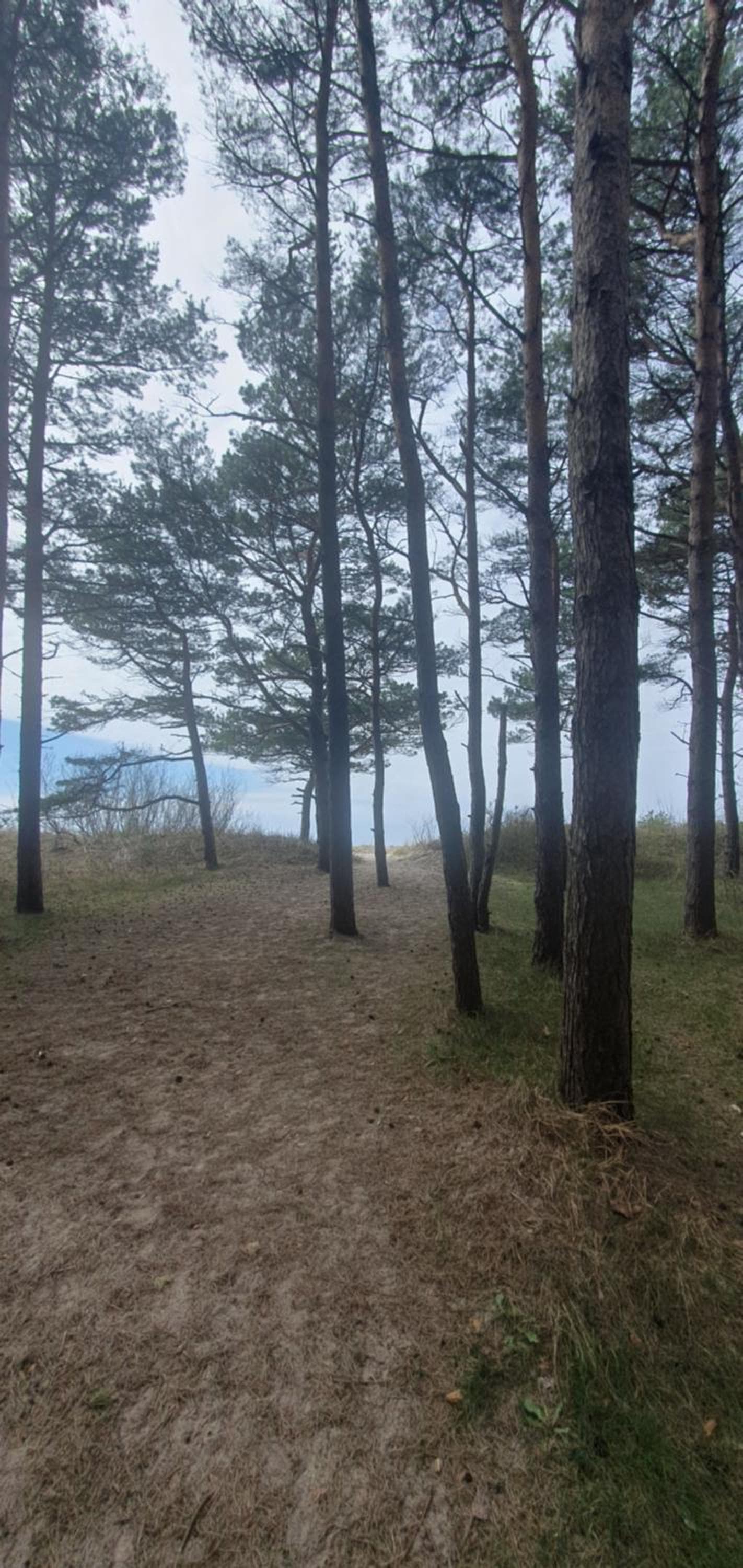Prie Jūros Papėje, Baltija, Pape, photo 5