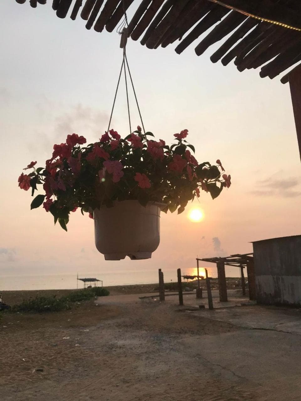 Blue Sea Homestay 2, Phu Yen, photo 4