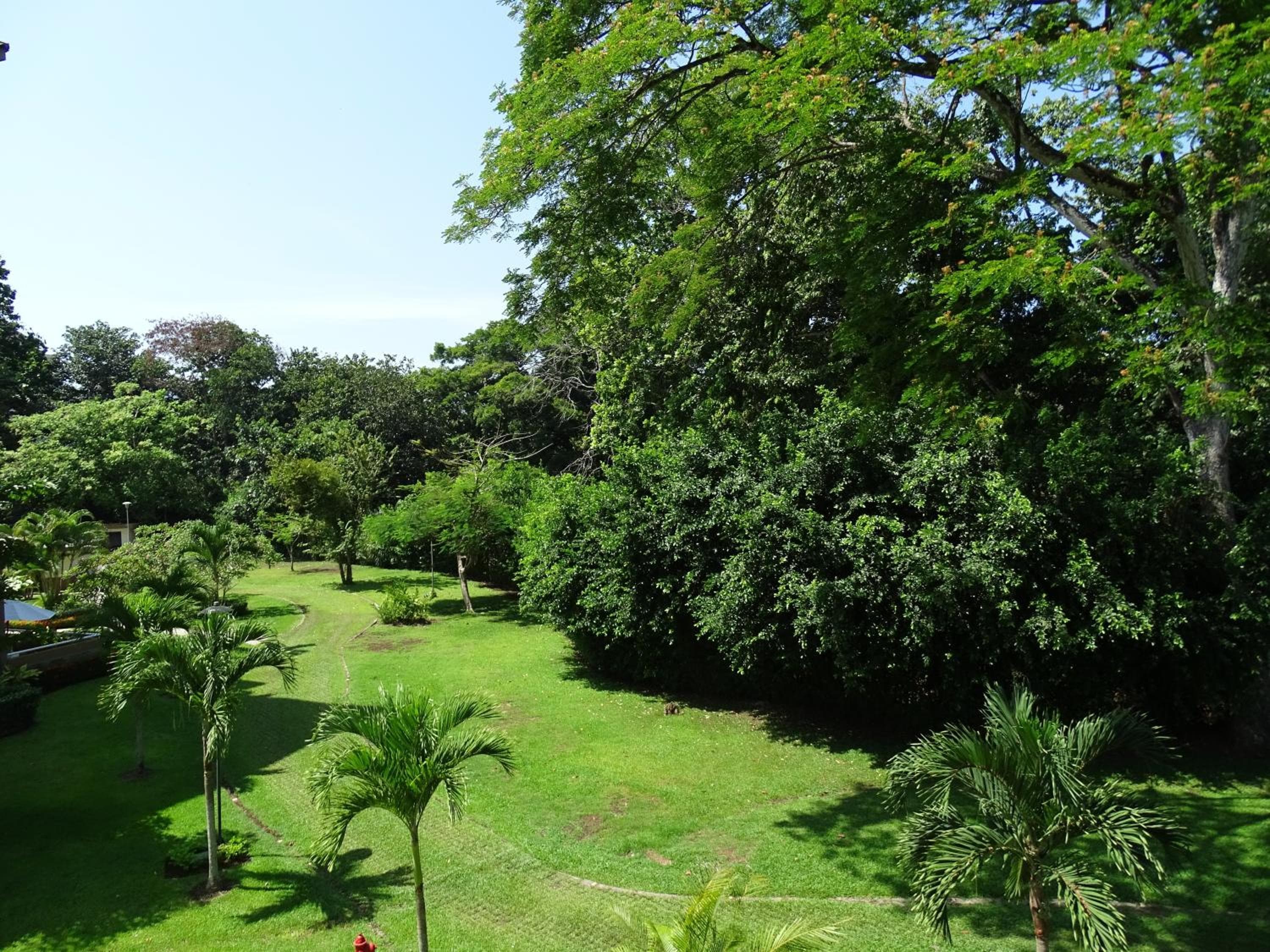 Jaco Beach Condos, Jacó, photo 6