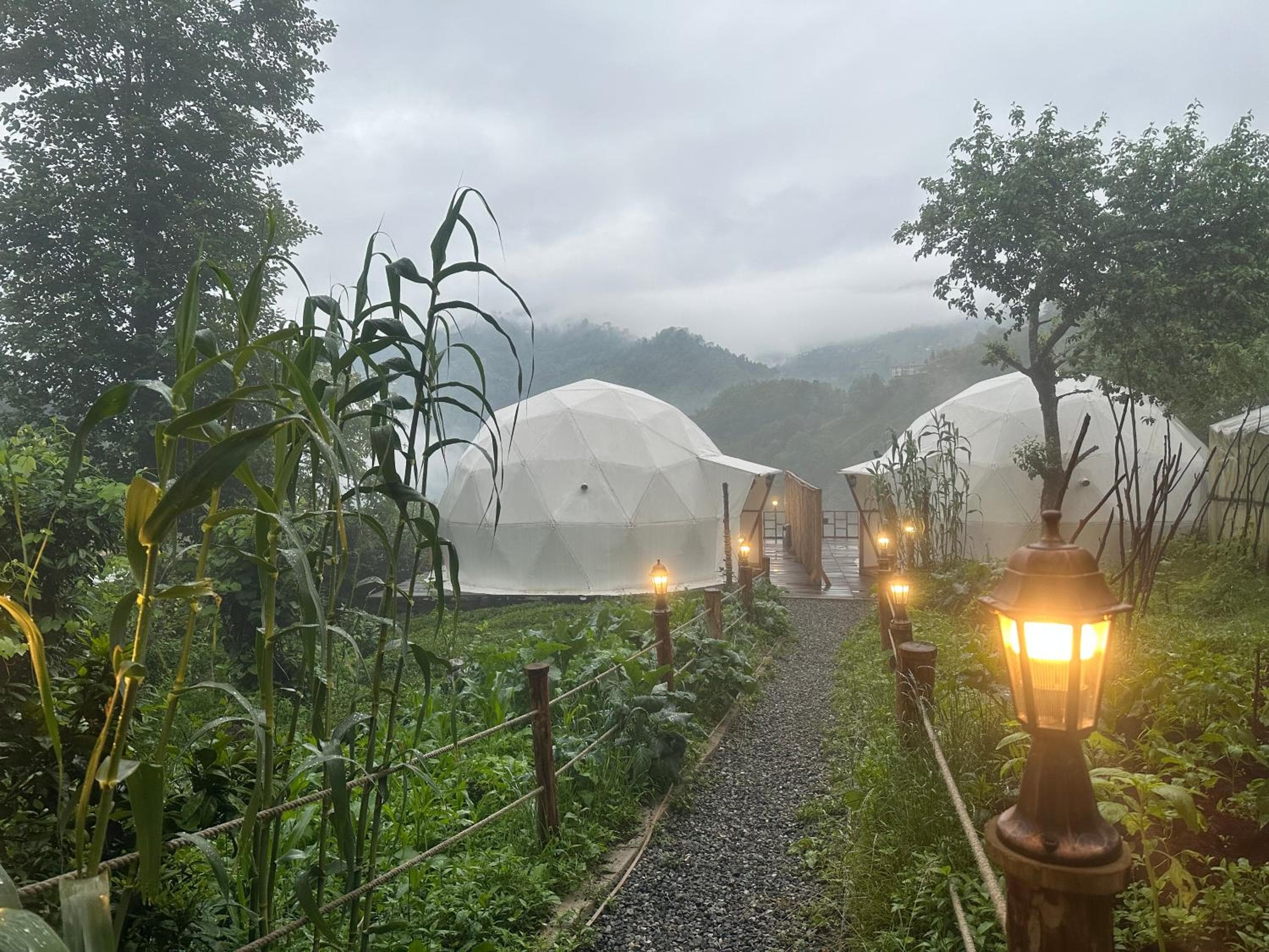 LİMKHONA DOME - CHALET, Çamlıhemşin