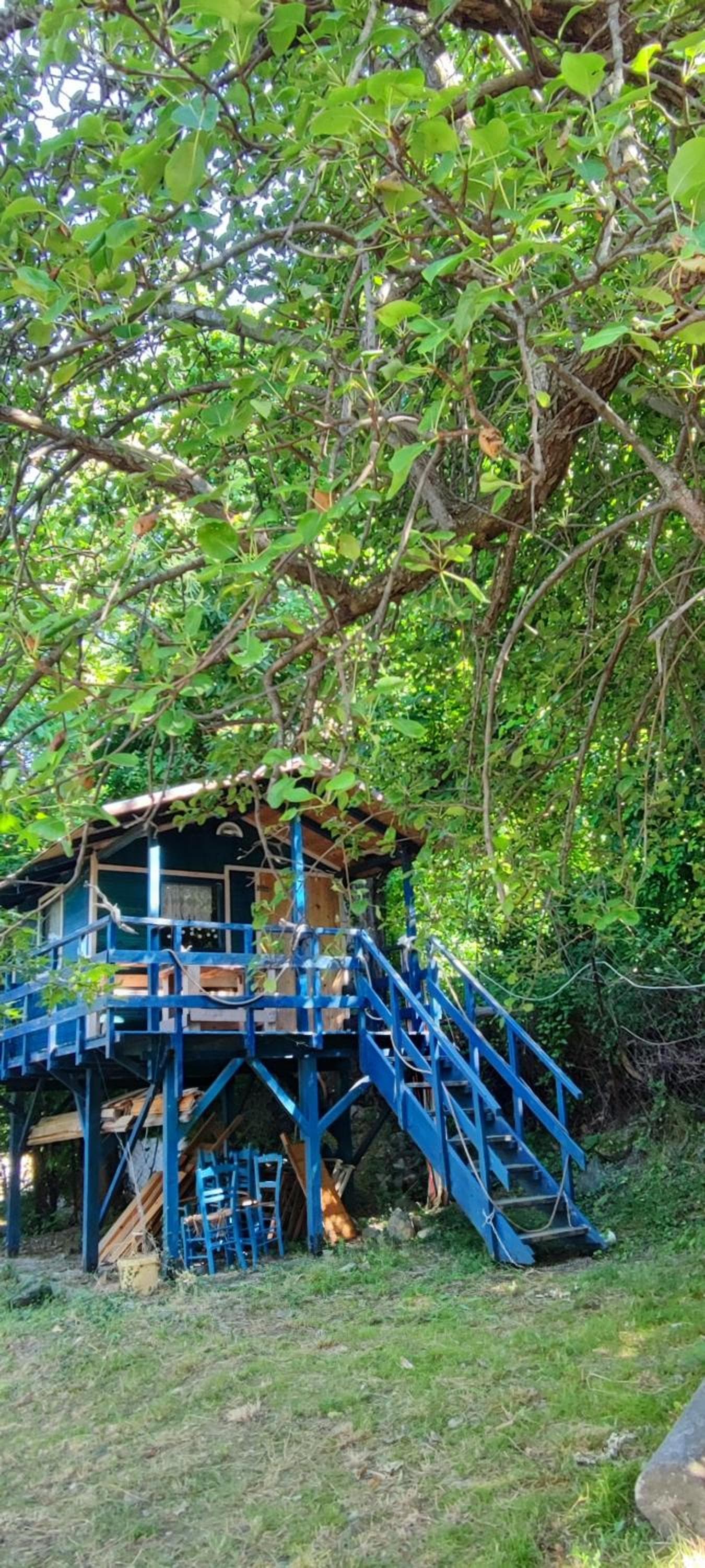 Milisia Rooms, Samothráki, photo 2