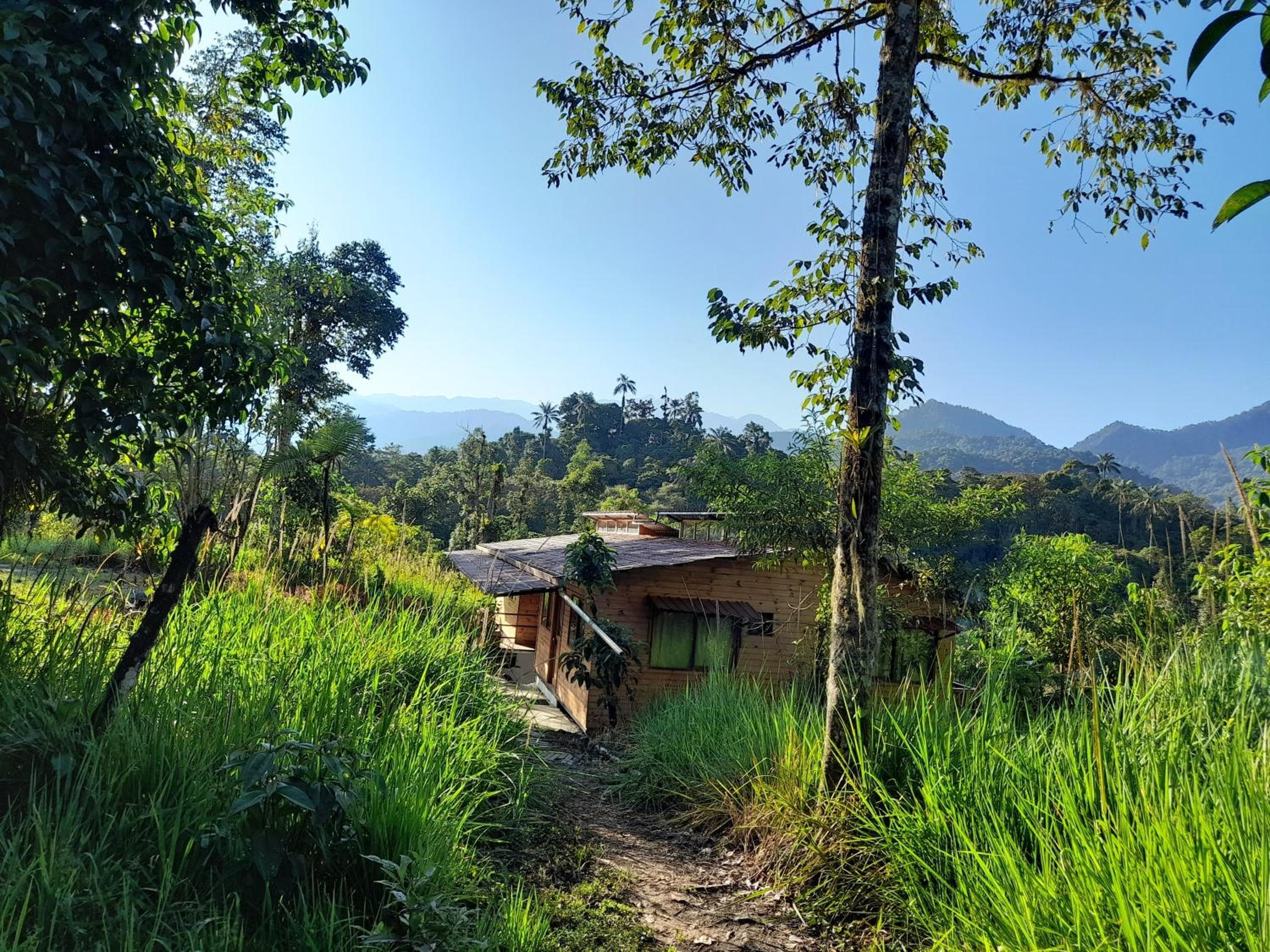 Sendero de las aves, Mindo, photo 2