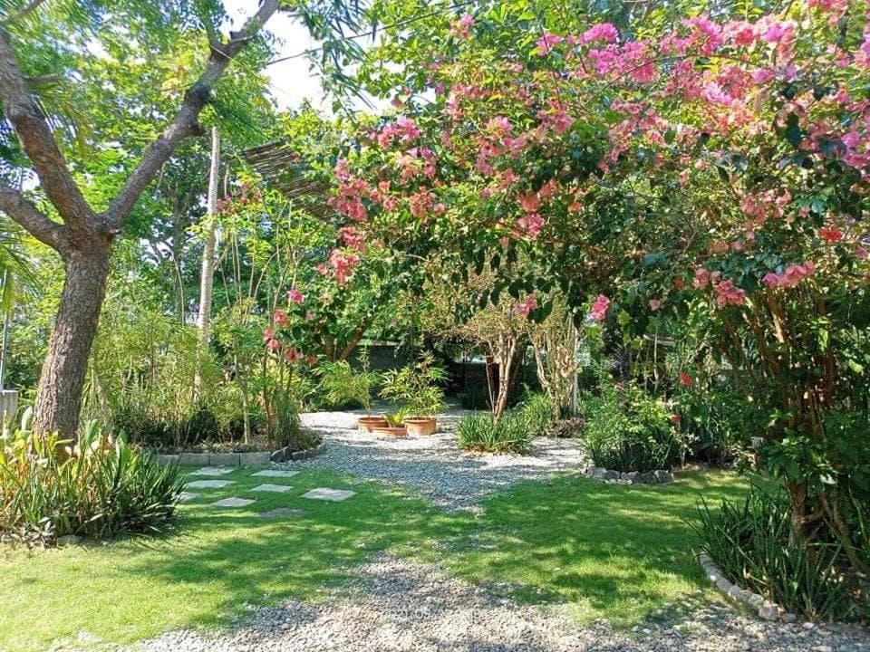 Playa de Bombora Inn, Cabugao, photo 3