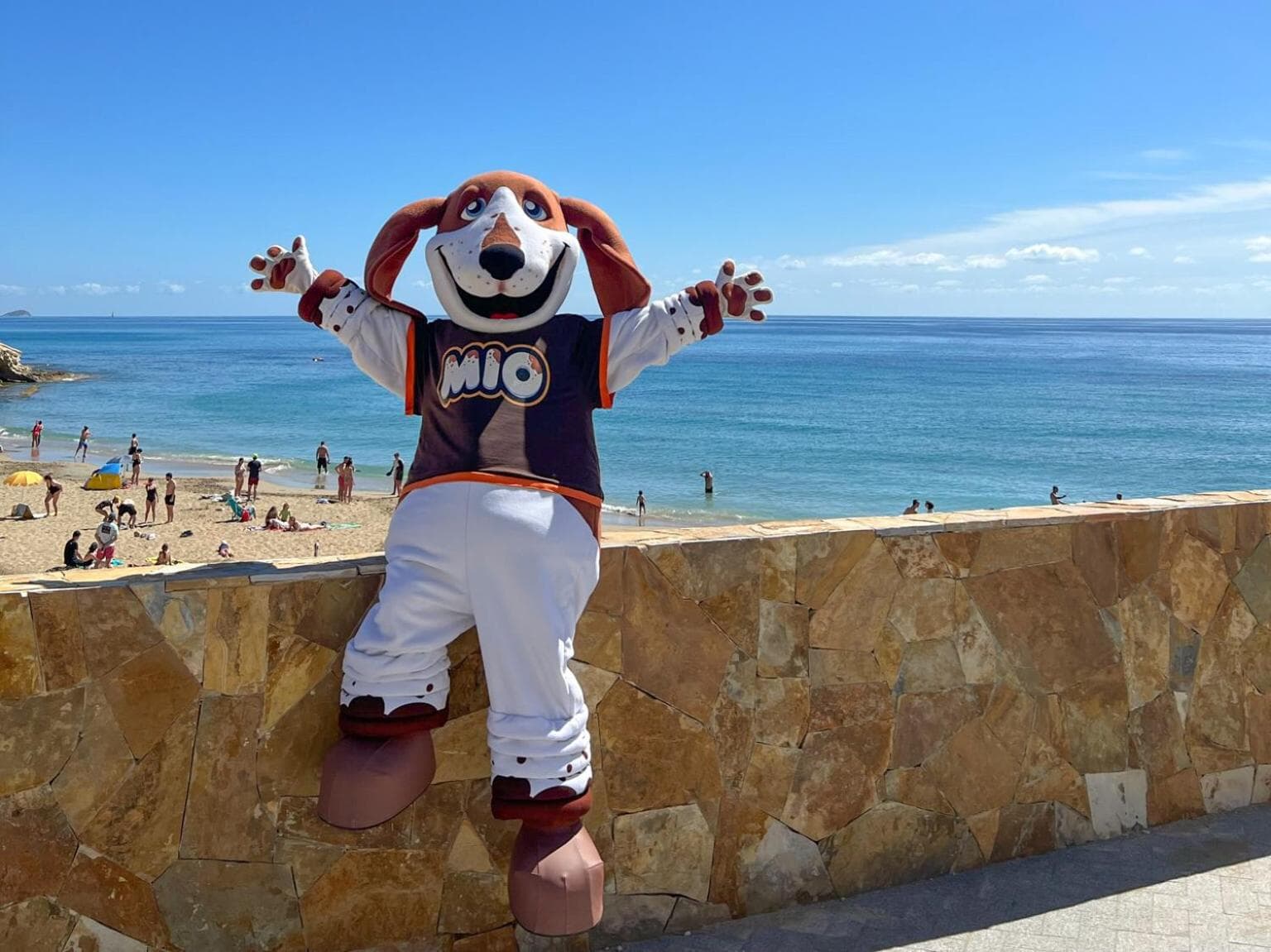 Dormio Resort Costa Blanca Beach & Spa, El Campello, photo 4
