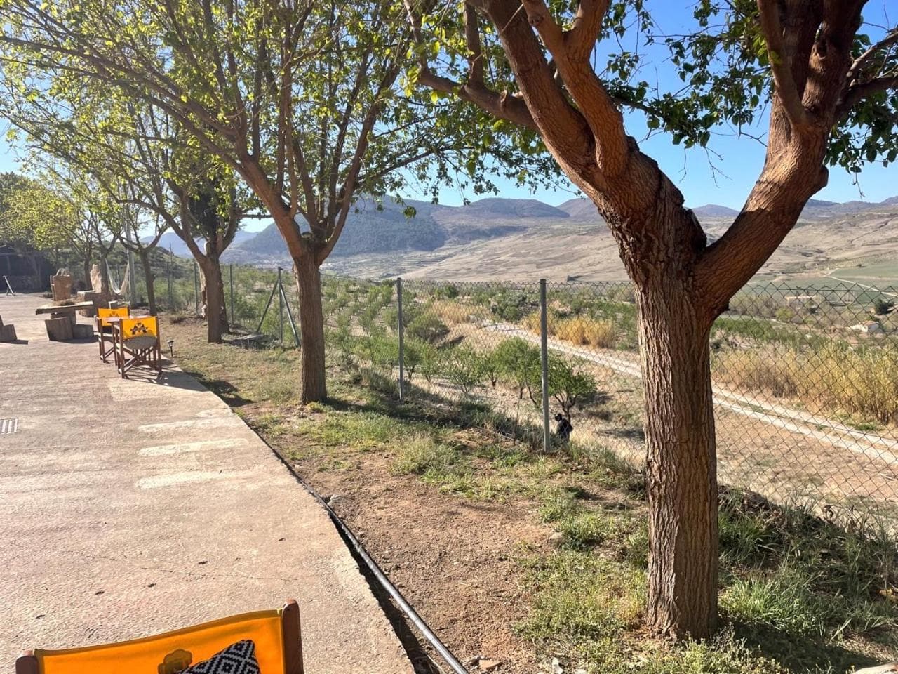 Cuevas El Atochal Orígenes, Gor, photo 2
